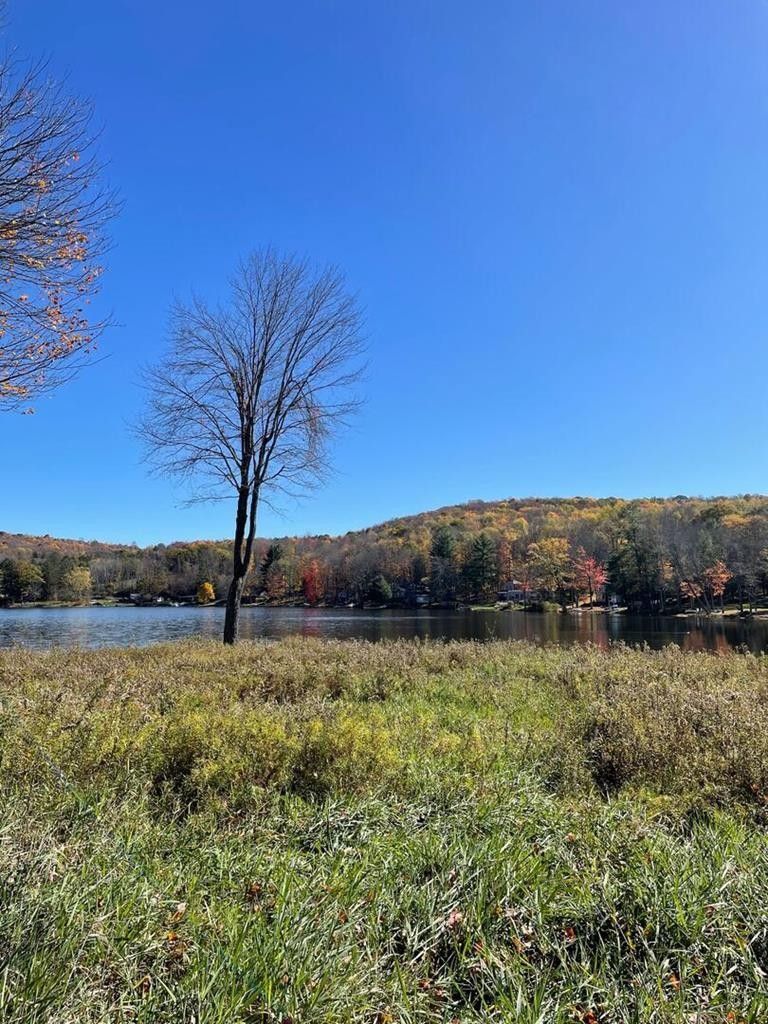 Friendsville, Susquehanna County, PA Undeveloped Land, Lakefront