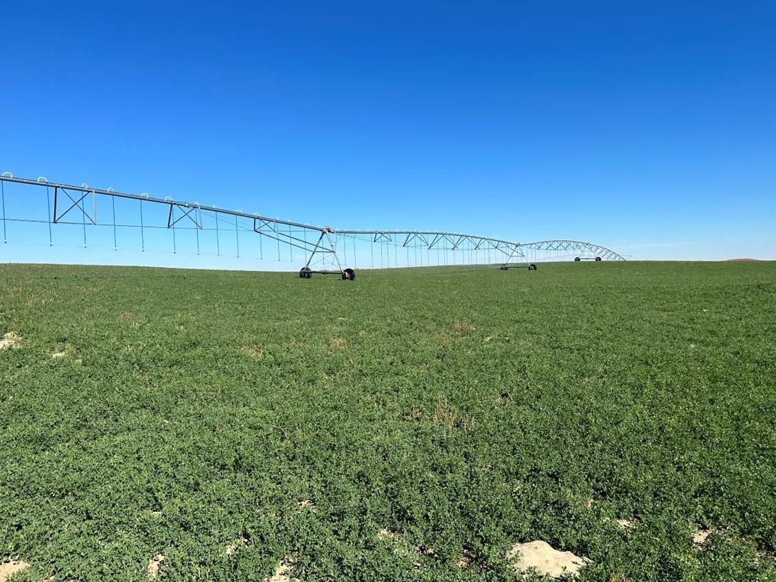 Lakin, Kearny County, KS Farms and Ranches for sale Property ID 418077467 LandWatch