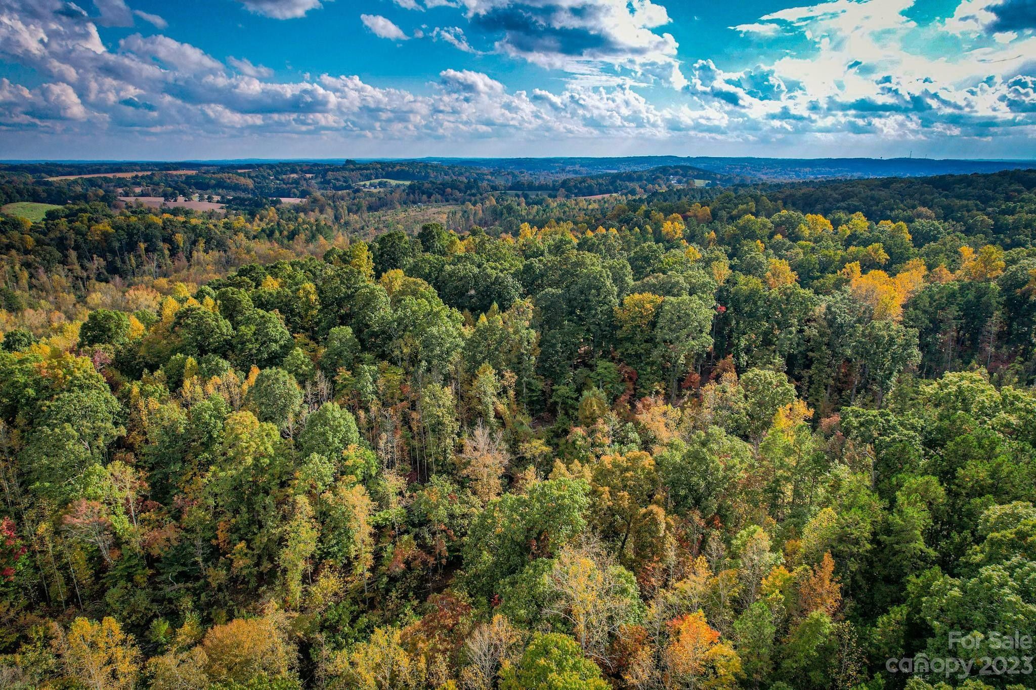 Albemarle, Stanly County, NC Undeveloped Land for sale Property ID