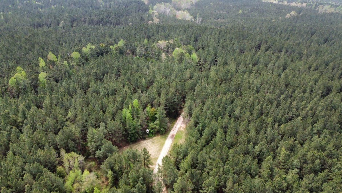 Hickory, Newton County, MS Recreational Property, Timberland Property