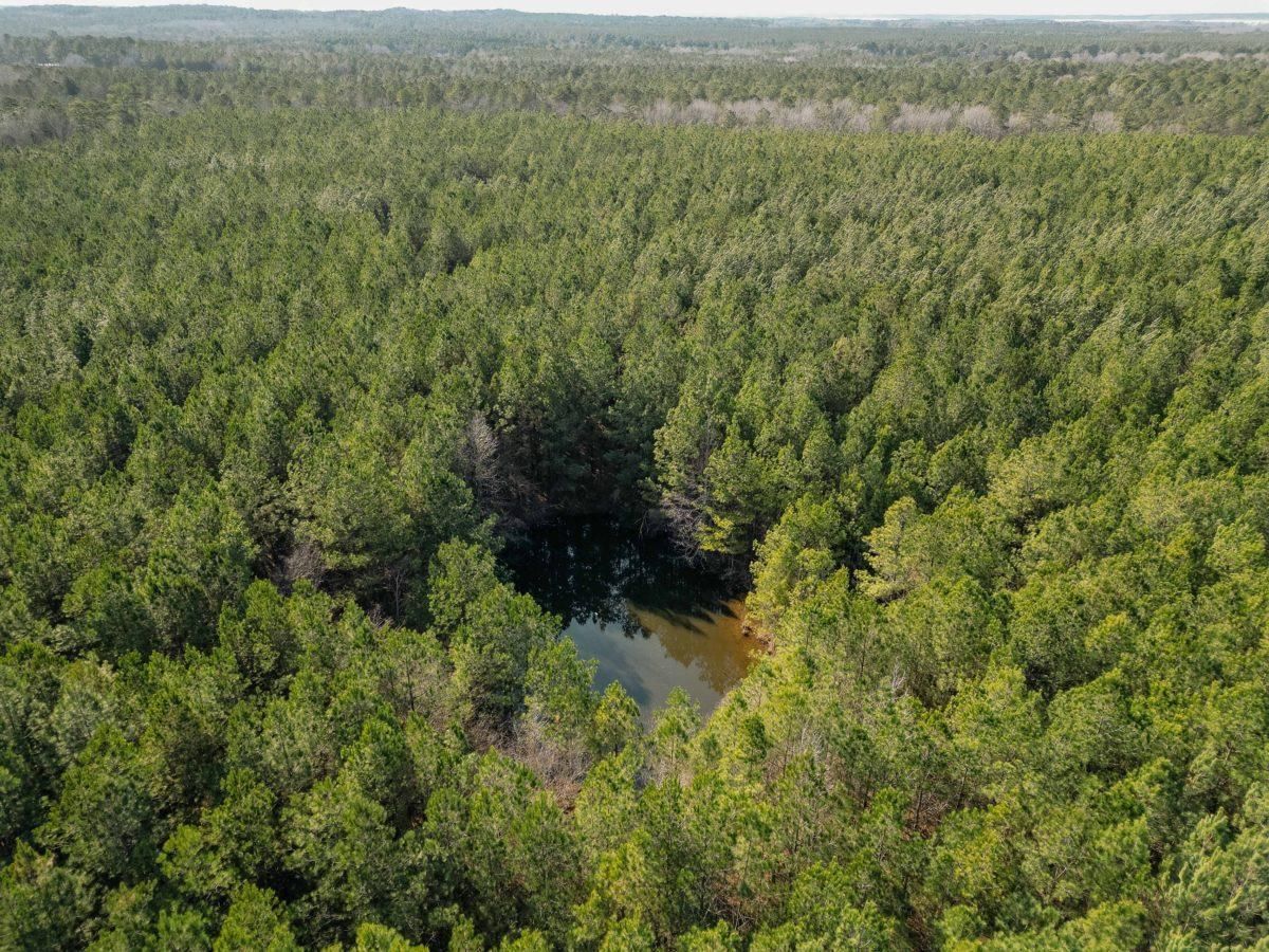 53 Acres, Rankin County, MS, Pisgah, MS 39047 LandWatch