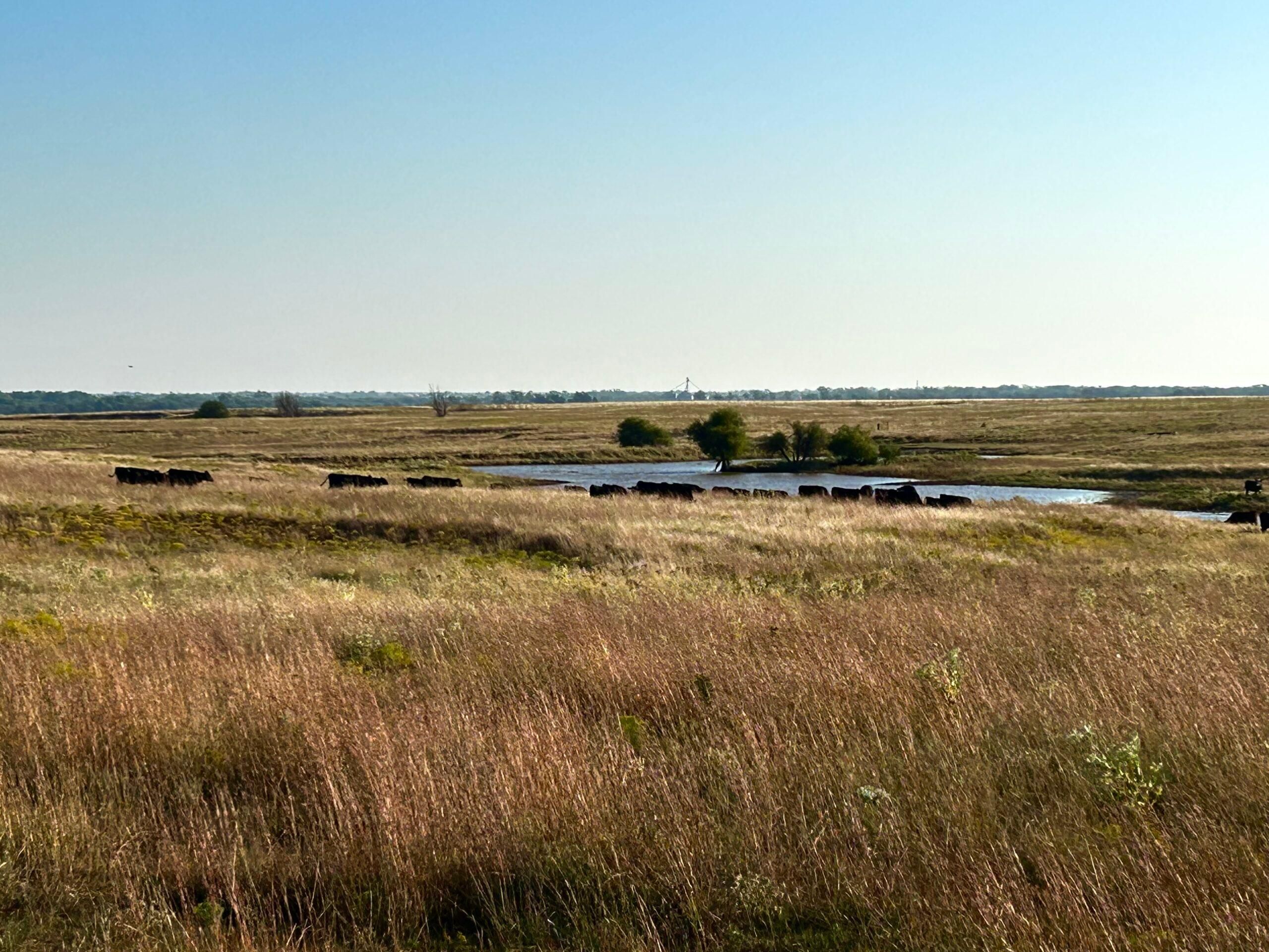 409 Acres, Harper County, Kansas, Harper, KS 67018 LandWatch