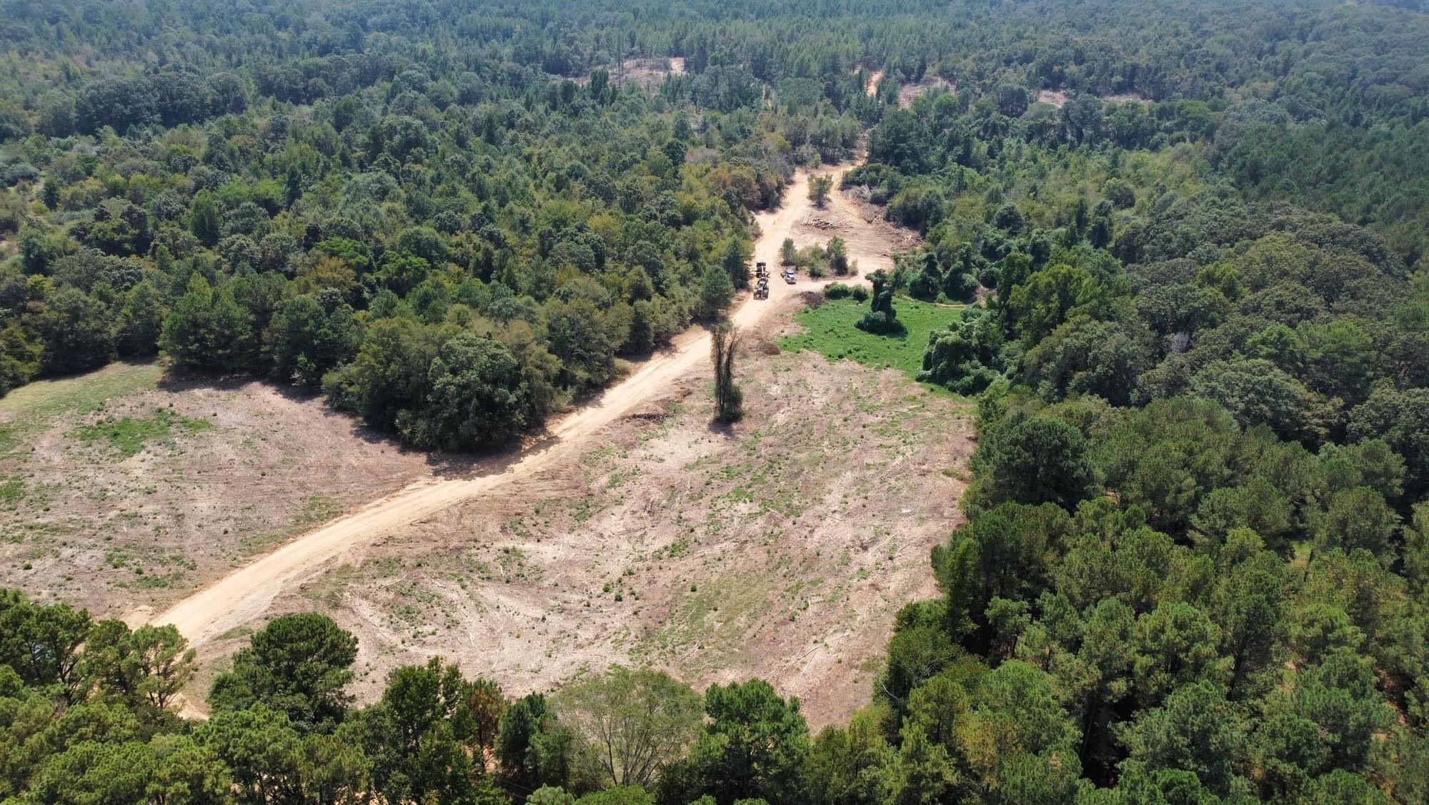 Barnes, Leake County, MS Recreational Property, Timberland Property for