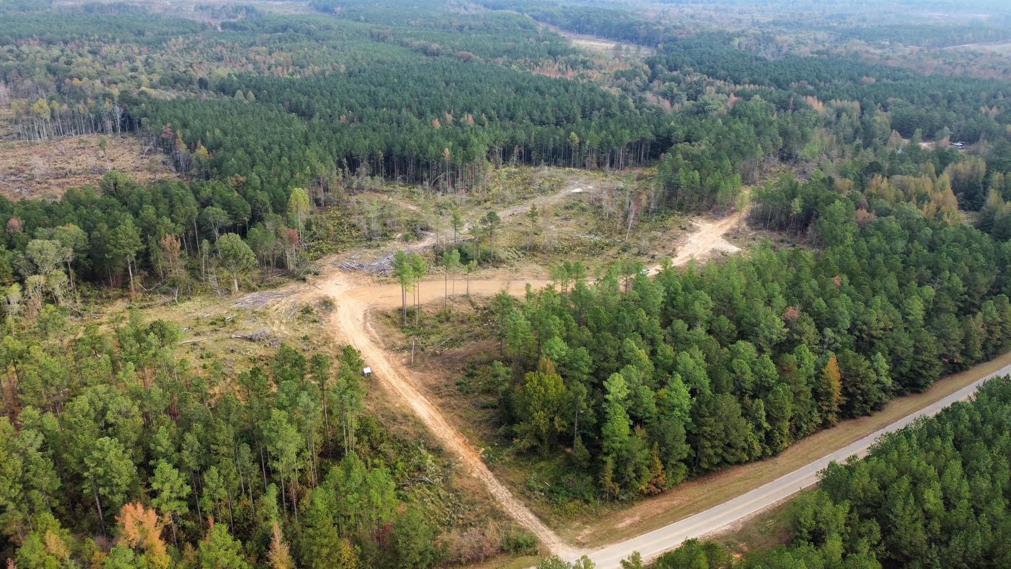 Ethel, Attala County, MS Recreational Property, Timberland Property for