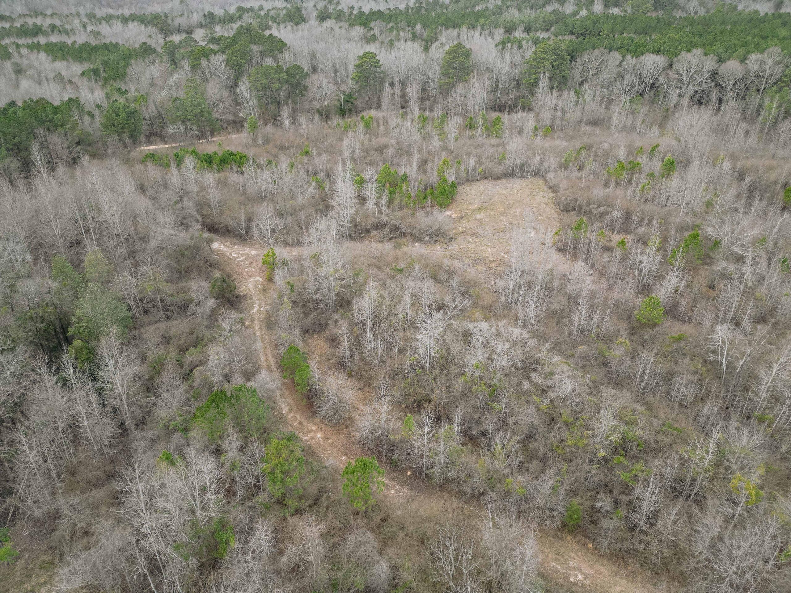 22.5 Acres, Smith County, MS, Polkville, MS 39117 LandWatch