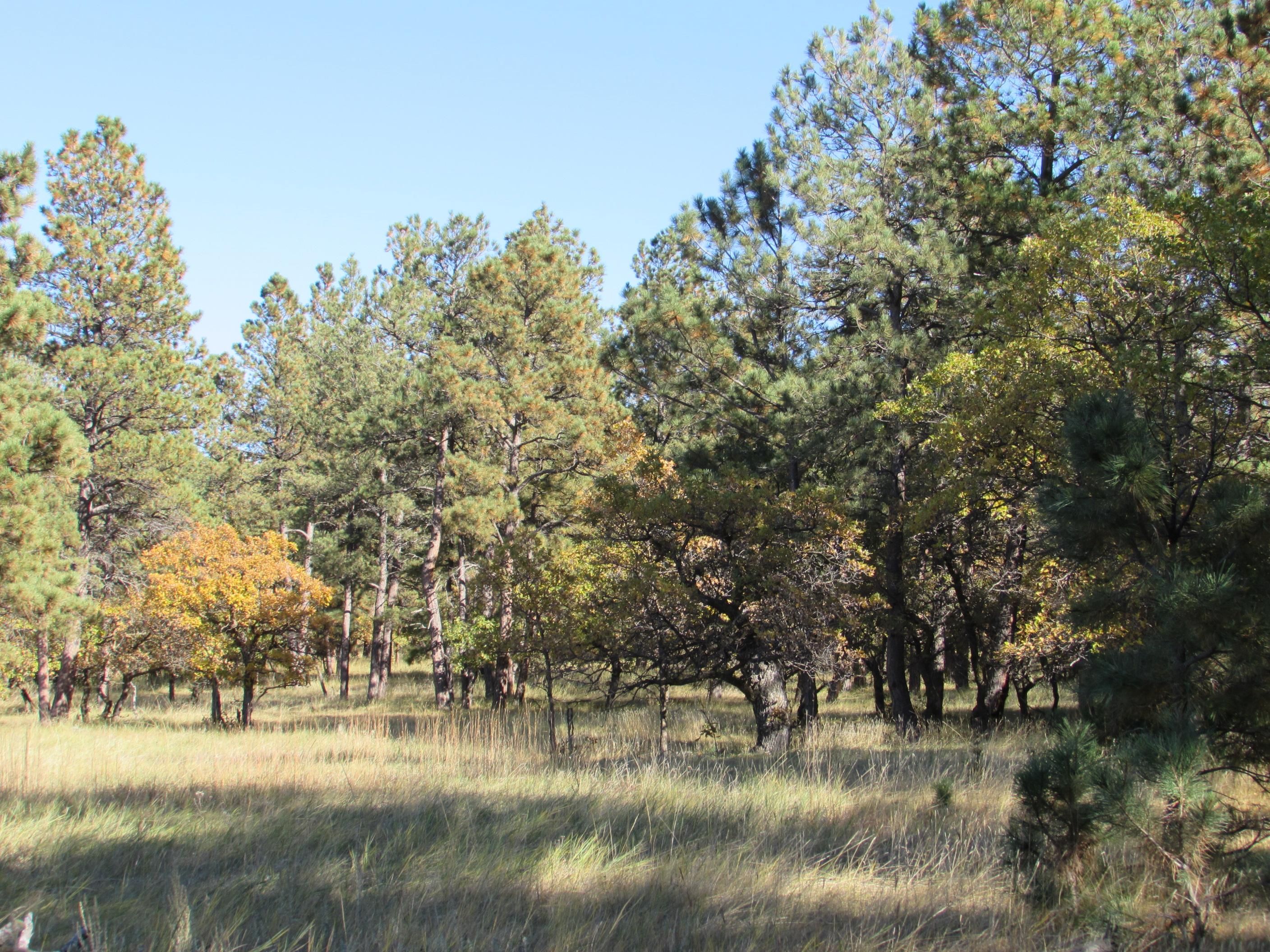 35.63 acres in Hulett, WY, 82720 LandWatch
