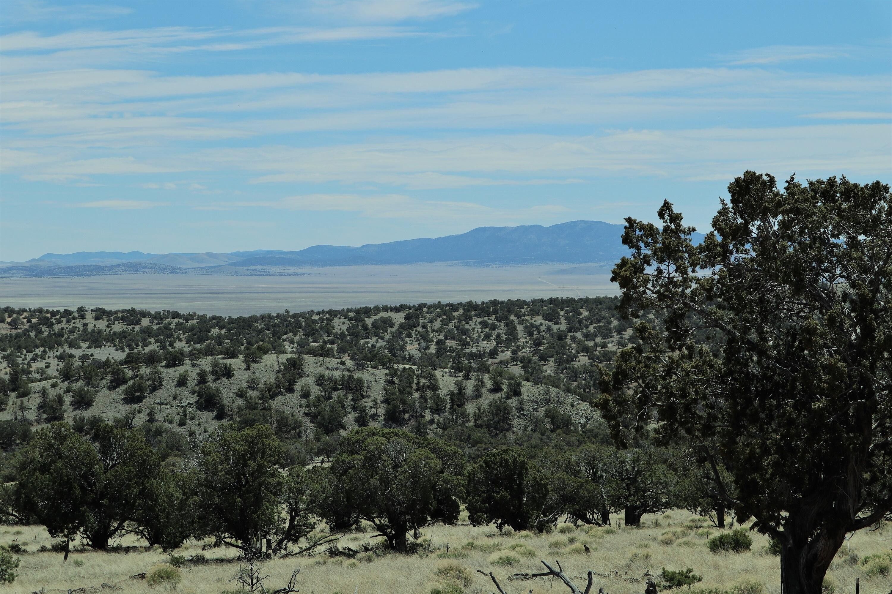 Datil, Catron County, NM Undeveloped Land for sale Property ID