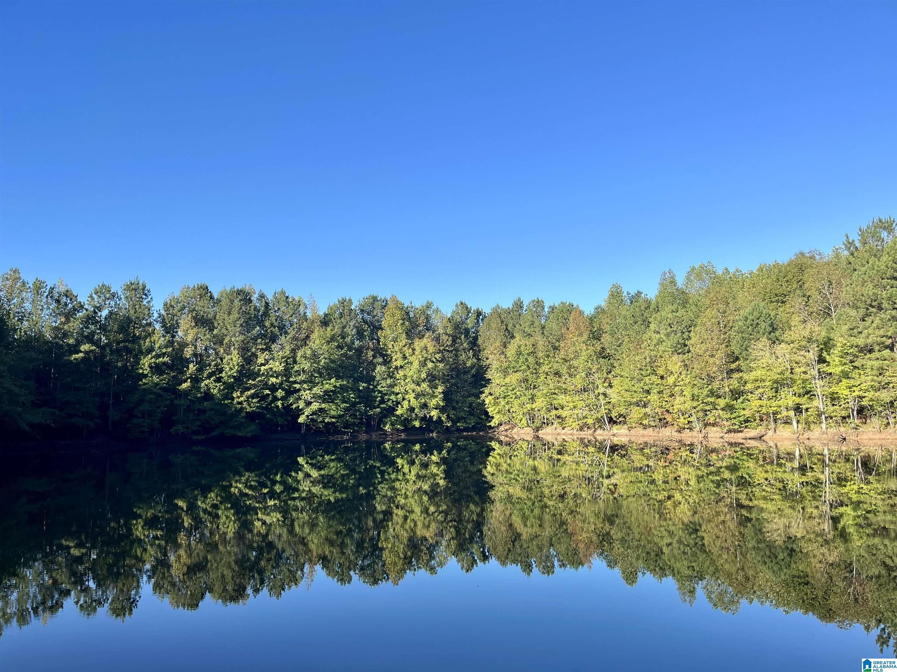 Roanoke, Randolph County, AL Undeveloped Land for sale Property ID