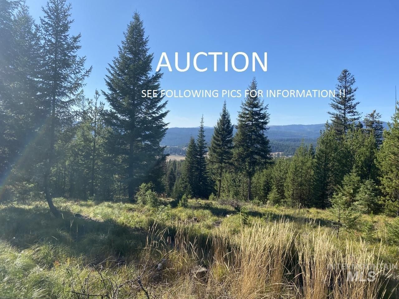 Elk City, Idaho County, ID Undeveloped Land for sale Property ID