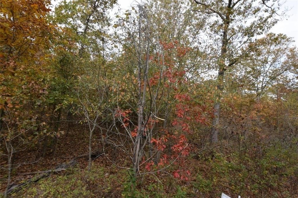 Proctor, Adair County, OK Undeveloped Land, Homesites for sale Property