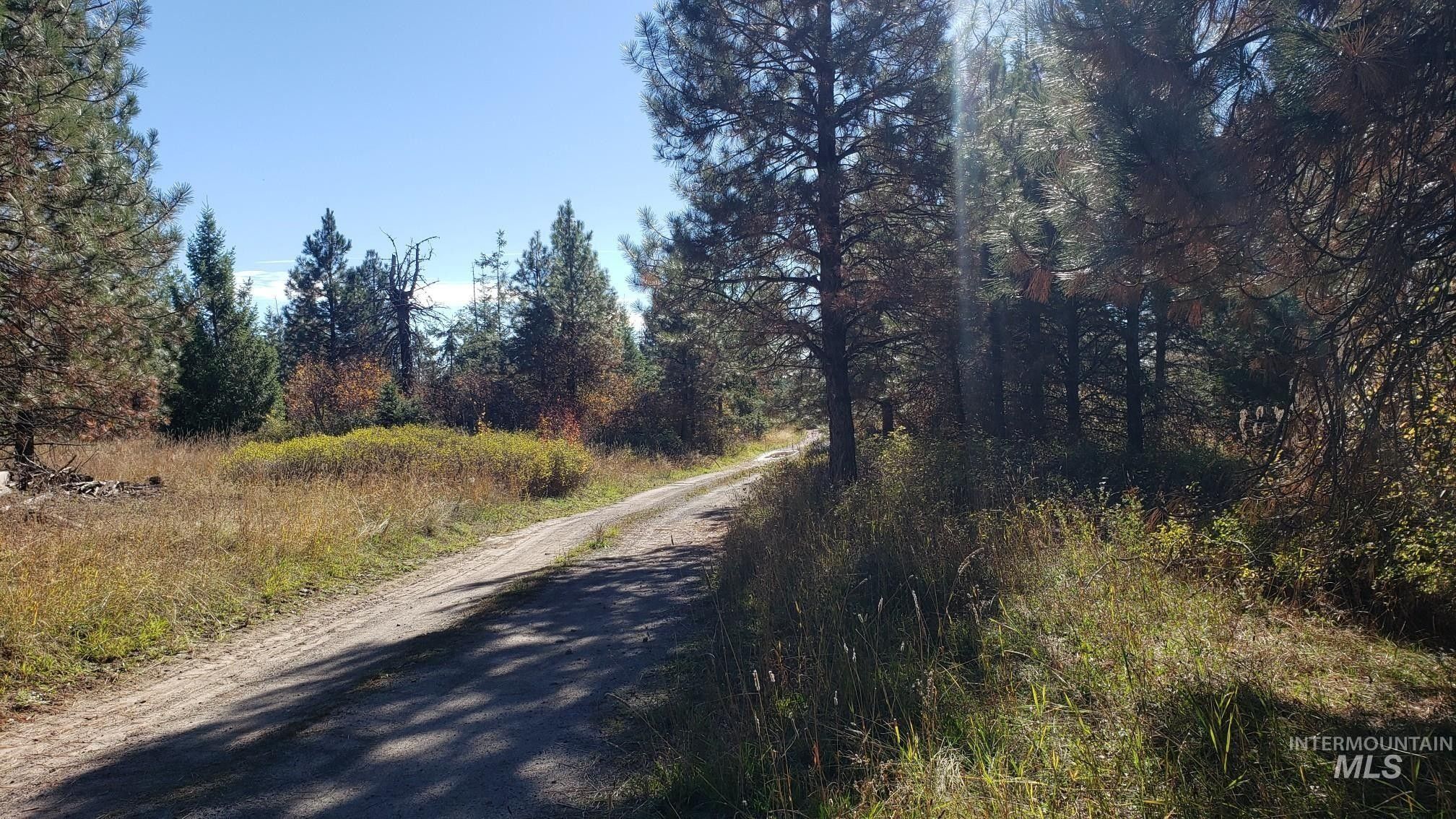 Weippe, Clearwater County, ID Undeveloped Land for sale Property ID 418080492 LandWatch