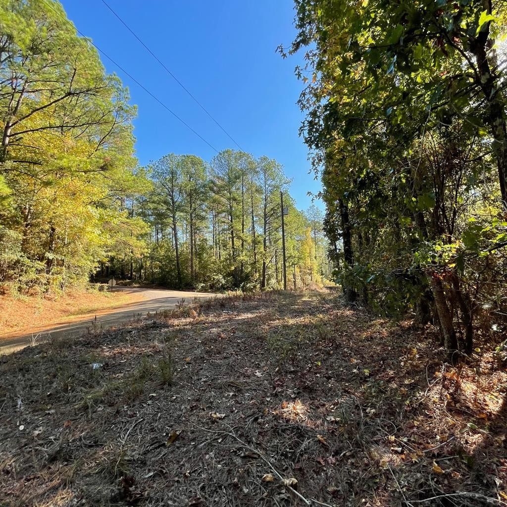 Copiah County, MS Undeveloped Land, Lakefront Property