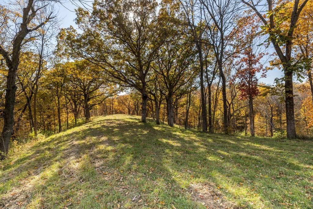 Mitchellville, Polk County, IA Undeveloped Land for sale Property ID