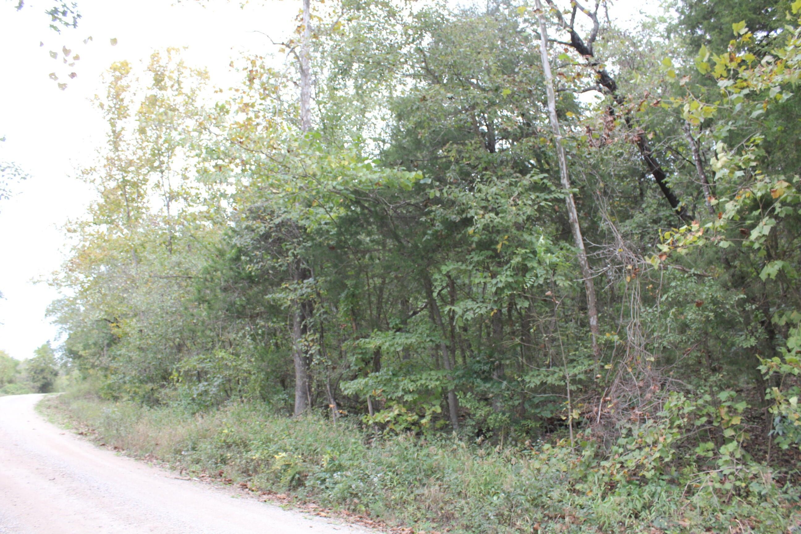 Squires, Ozark County, MO Undeveloped Land for sale Property ID