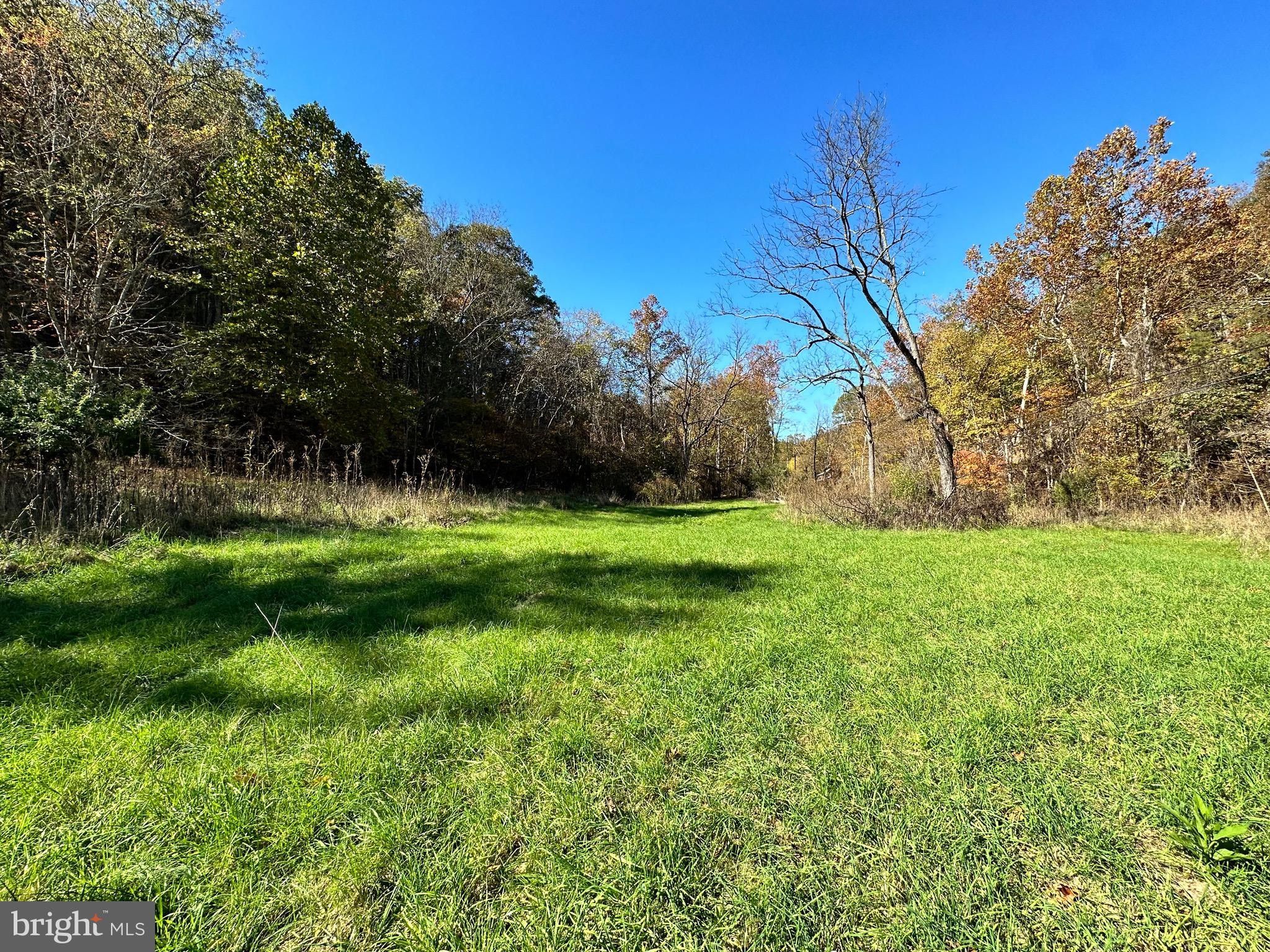 Slanesville, Hampshire County, WV Undeveloped Land for sale Property ID