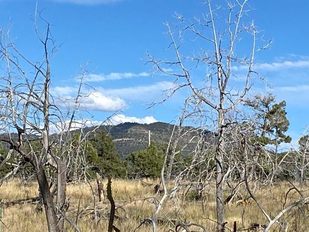 Cloudcroft, Otero County, NM Recreational Property, Homesites for sale