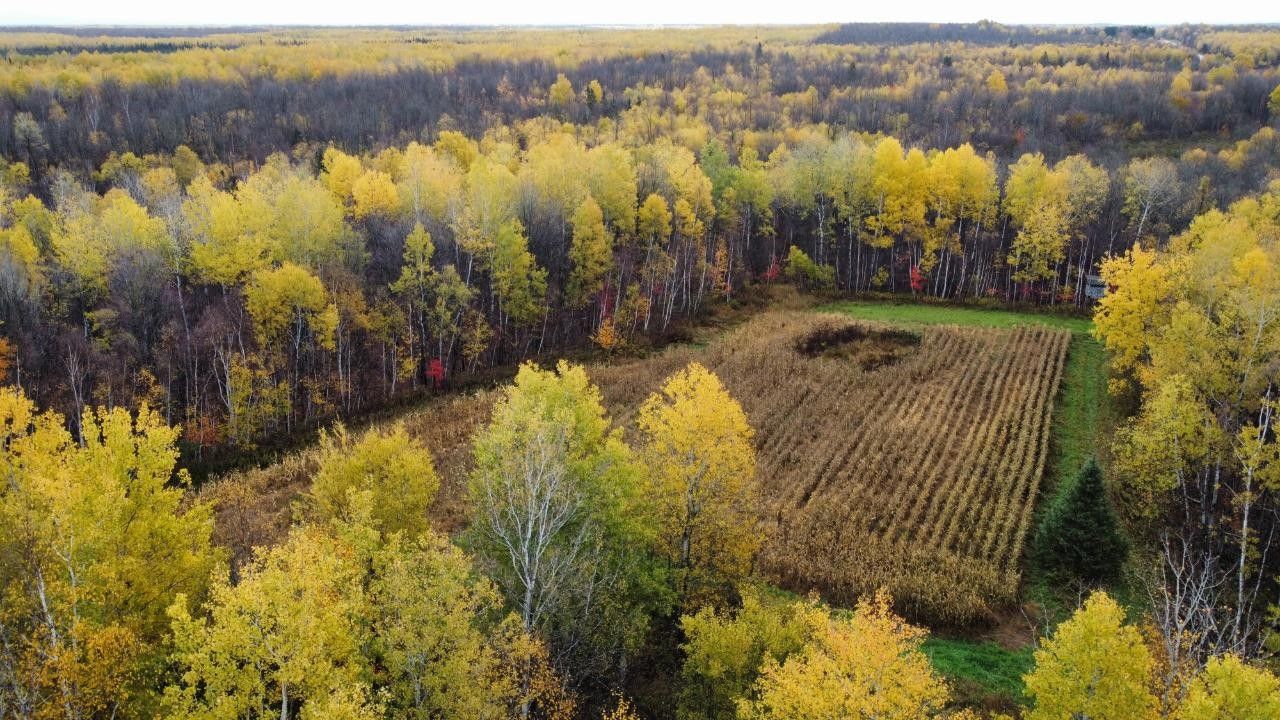 Tomahawk, Lincoln County, WI Undeveloped Land for sale Property ID