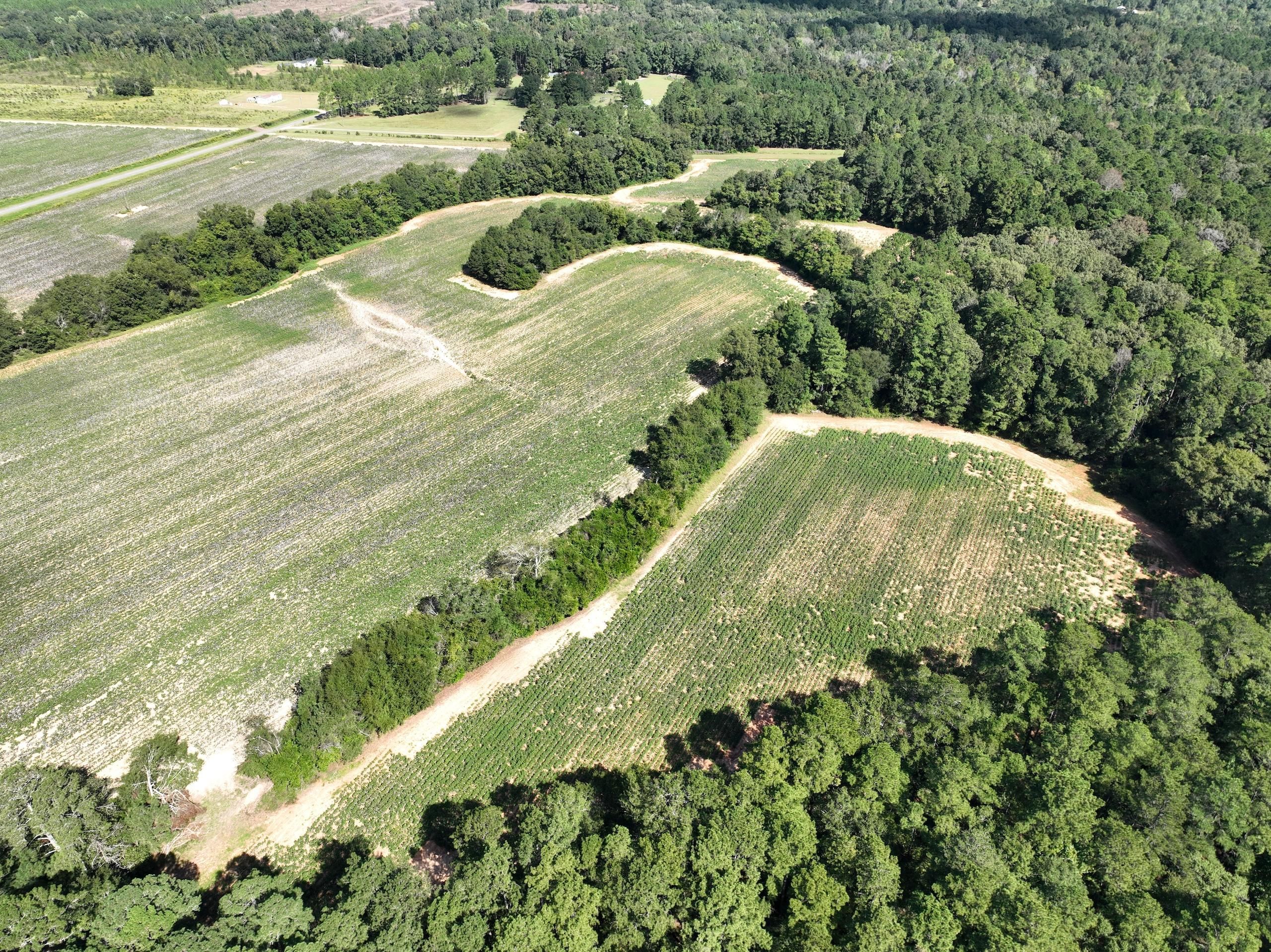 0 Ransom Road, LotWP001, Unadilla, GA 31091 LandWatch