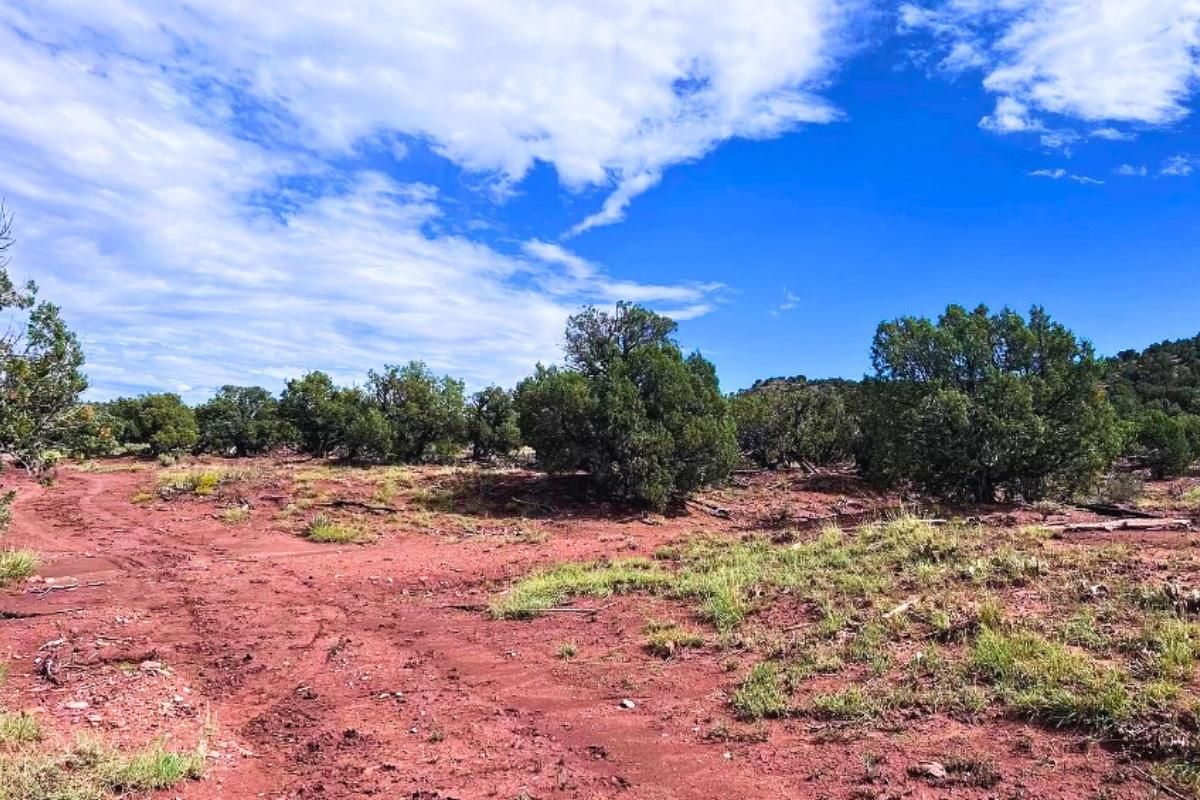 Snowflake, Navajo County, AZ Recreational Property, Undeveloped Land