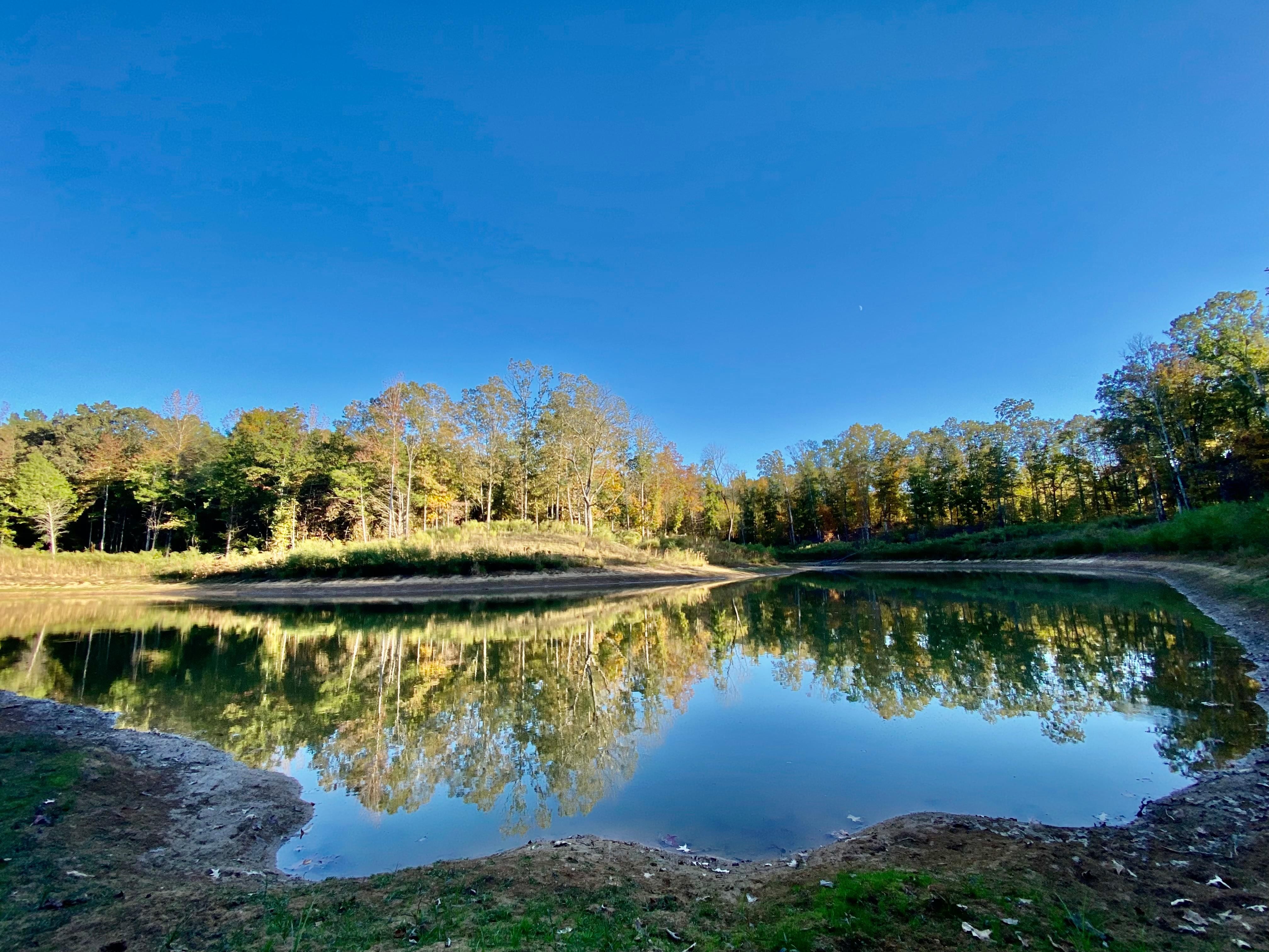 965 Green Dr, Somerville, TN 38068 MLS MAAR 10159490 LandWatch