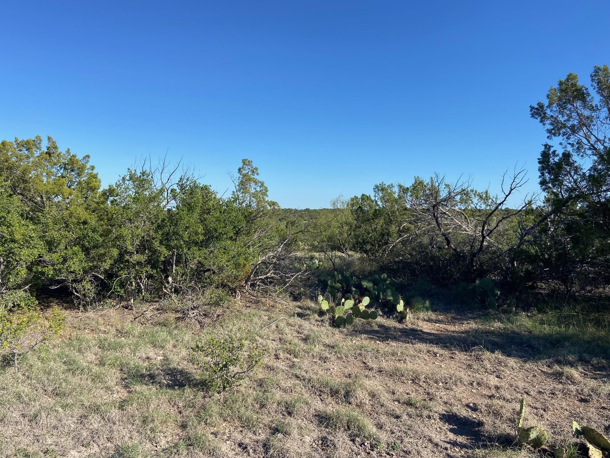 111 acres in Juno, TX, 78837 LandWatch