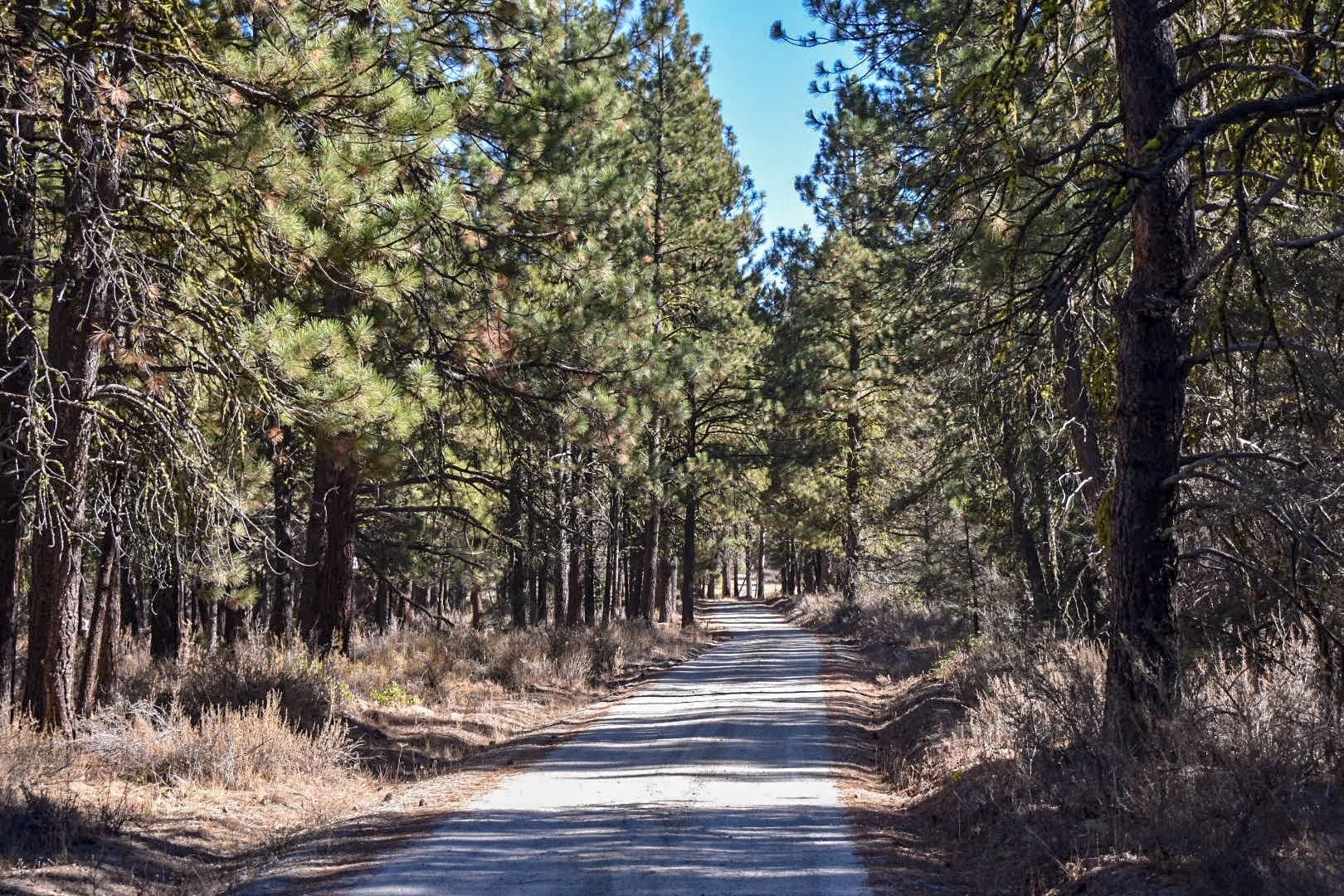 Beatty, Klamath County, OR Recreational Property, Undeveloped Land
