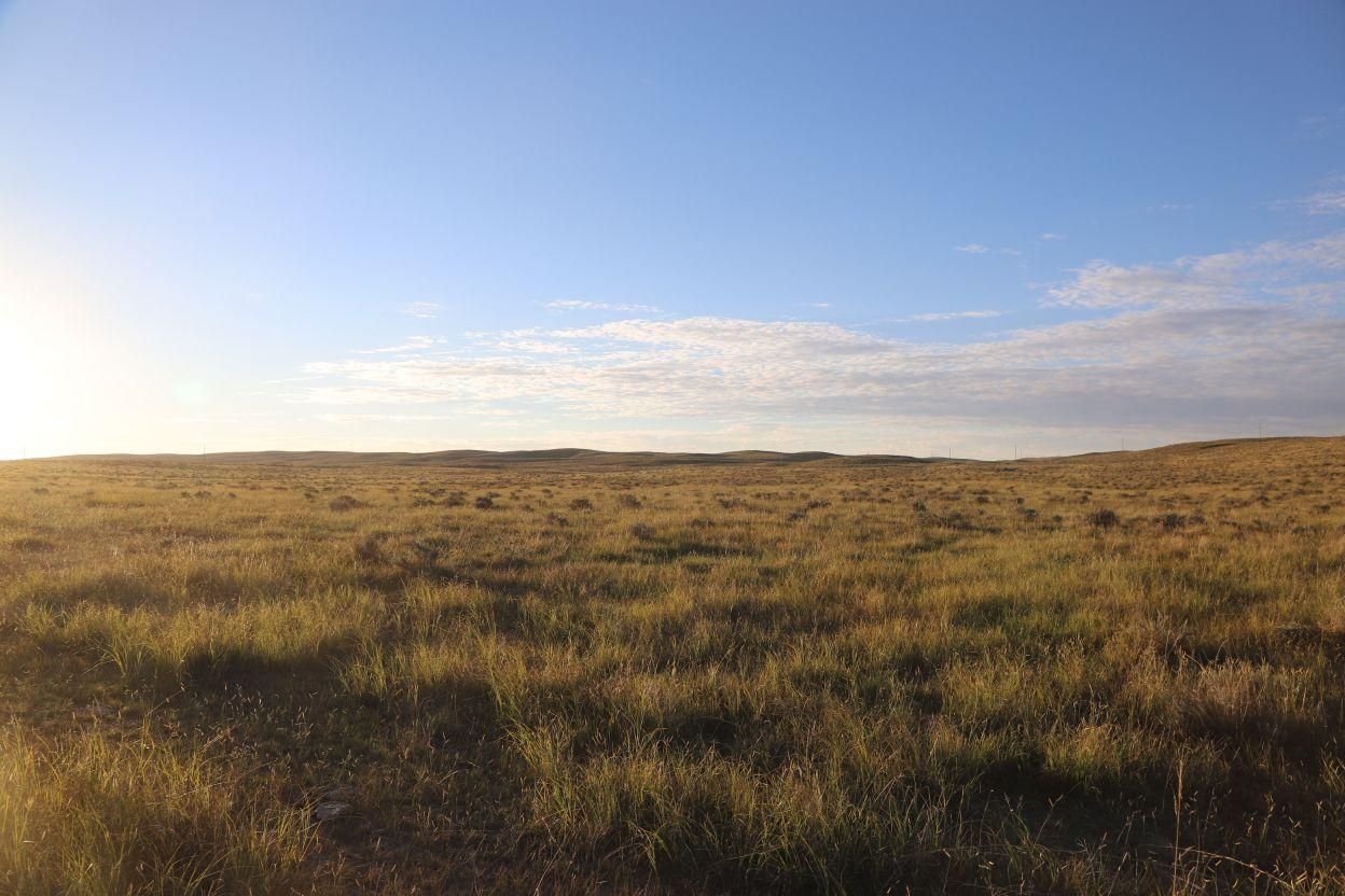 Fleming, Logan County, CO Farms and Ranches for sale Property ID