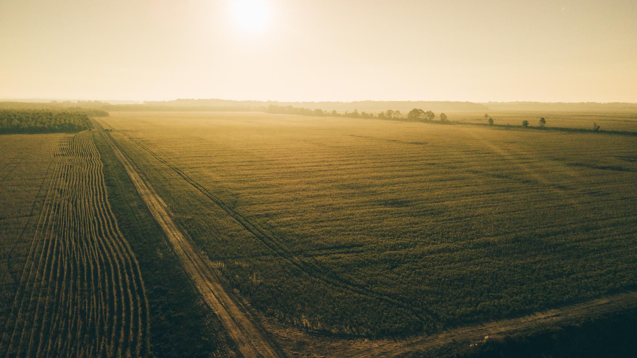 Marks, Quitman County, MS Farms and Ranches, Recreational Property