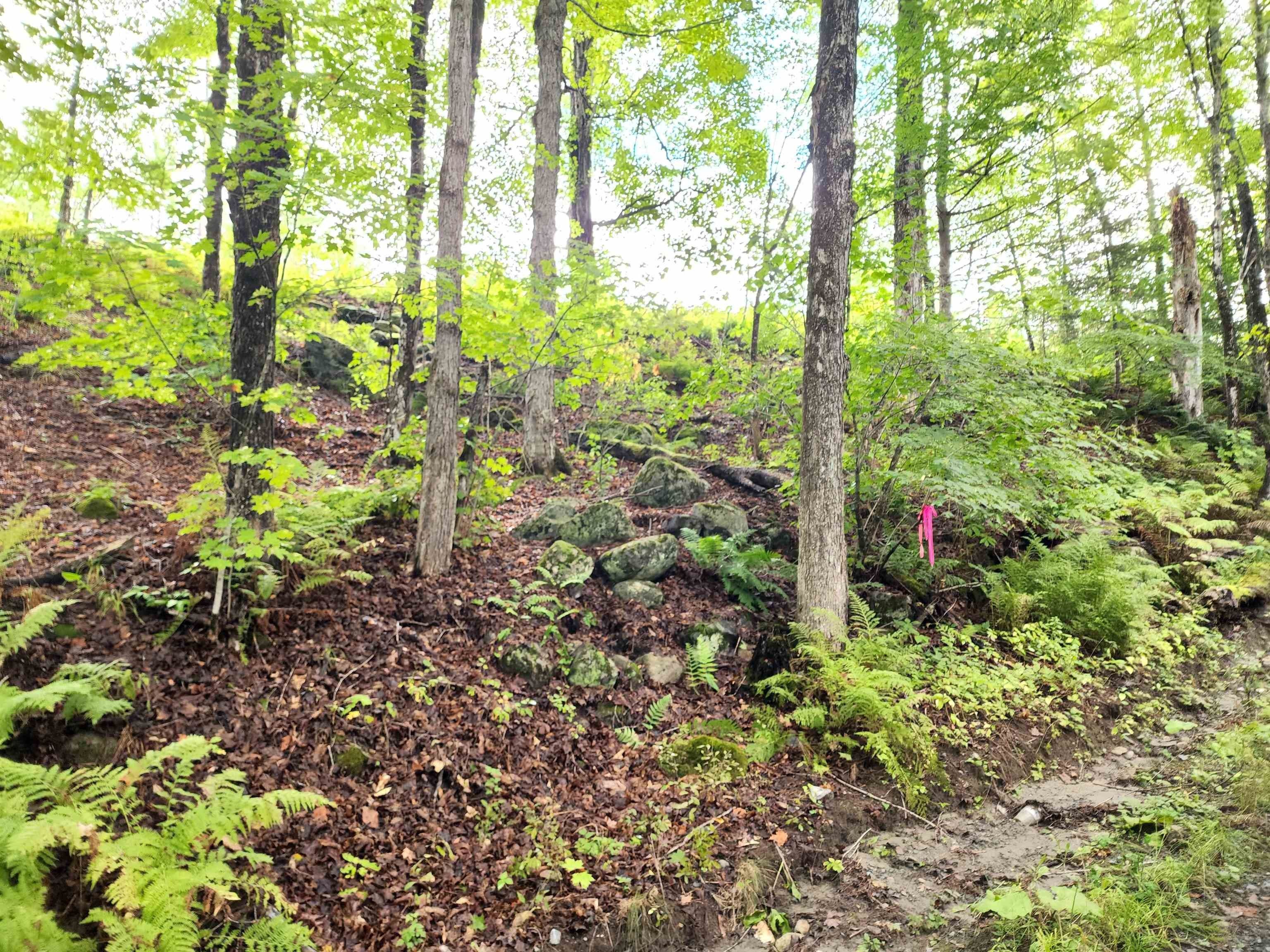 Concord, Essex County, VT Undeveloped Land, Homesites for sale Property
