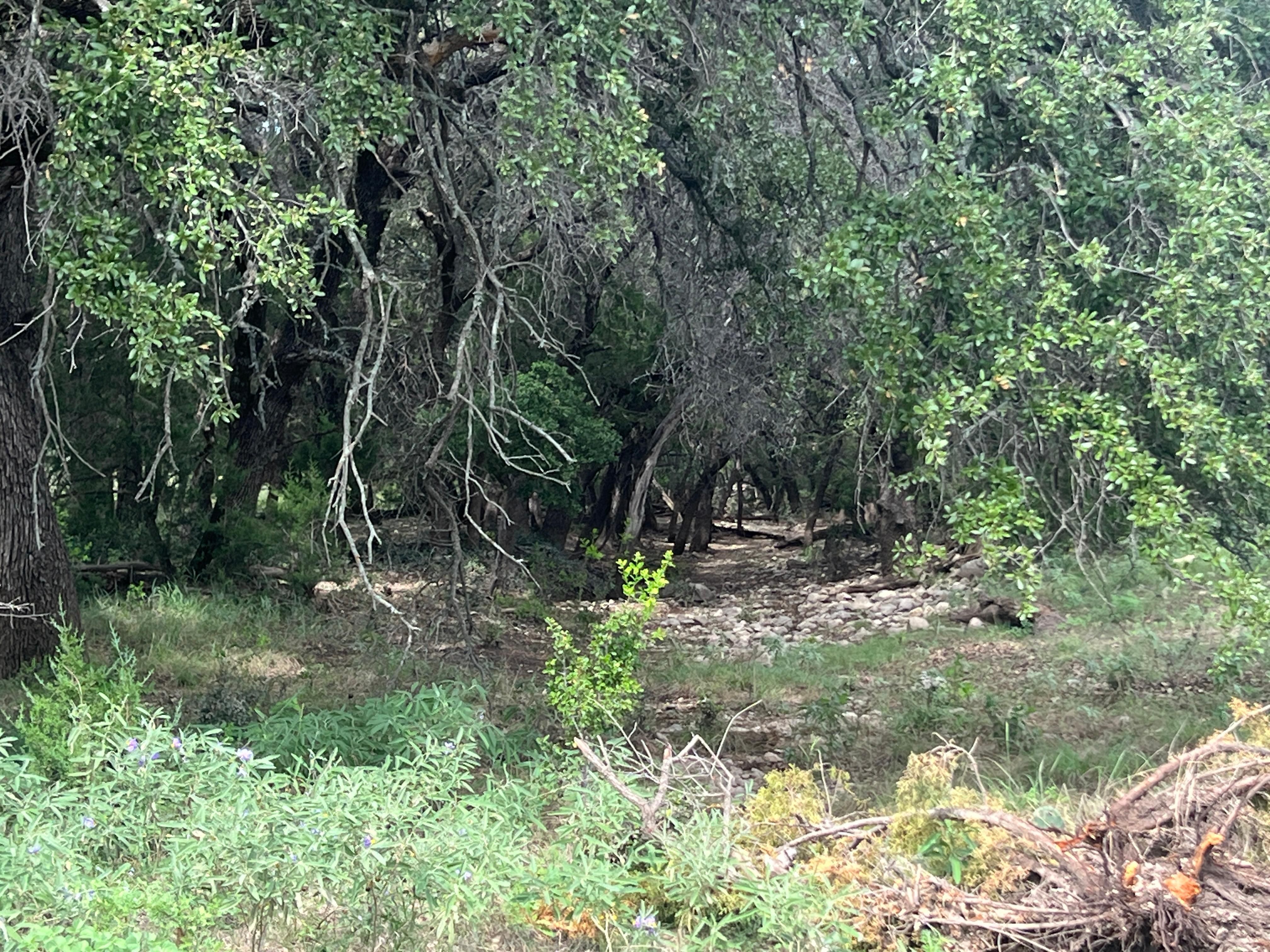 Ozona, Crockett County, TX Farms and Ranches, Recreational Property