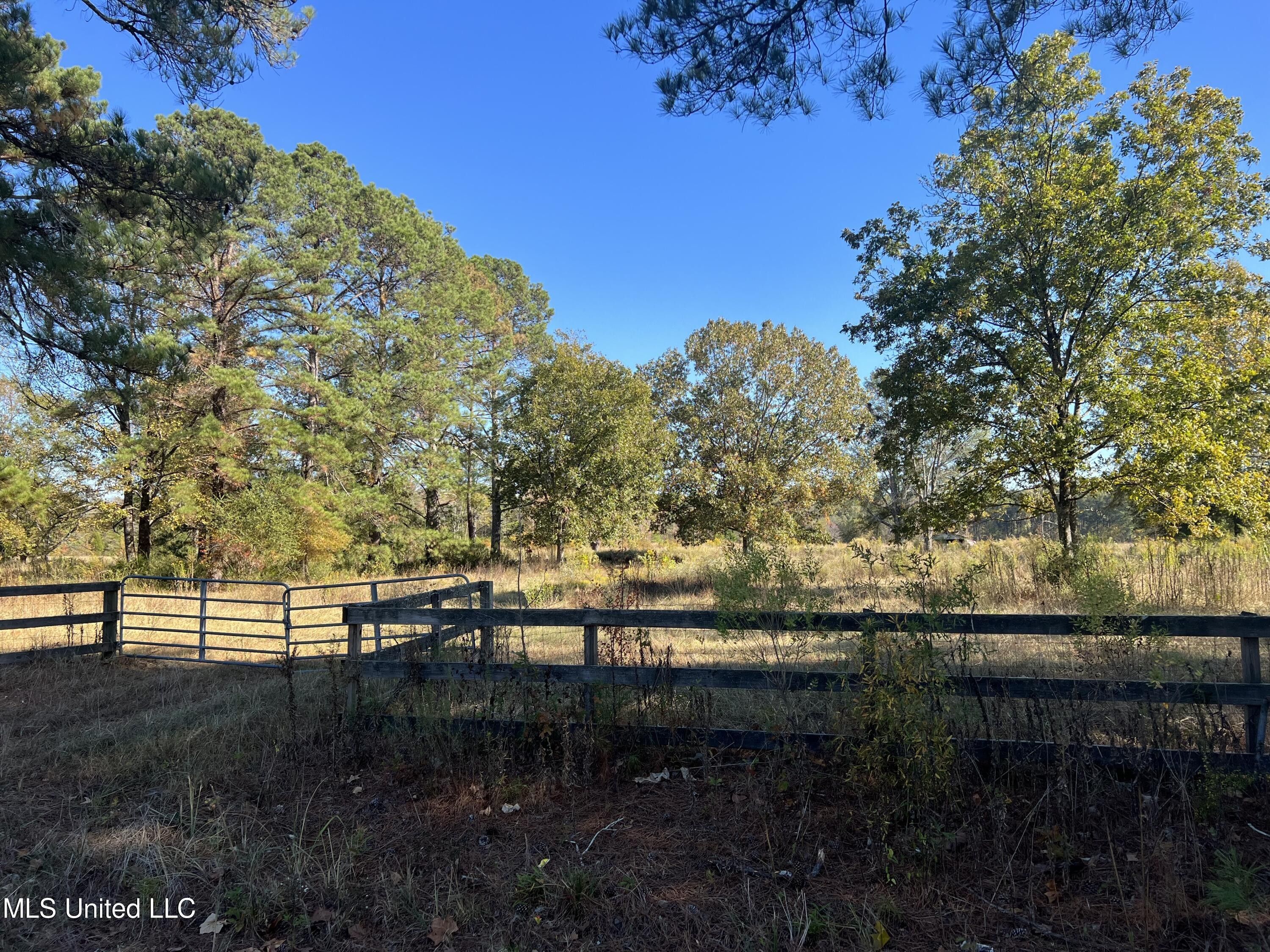 Kosciusko, Leake County, MS Undeveloped Land for sale Property ID