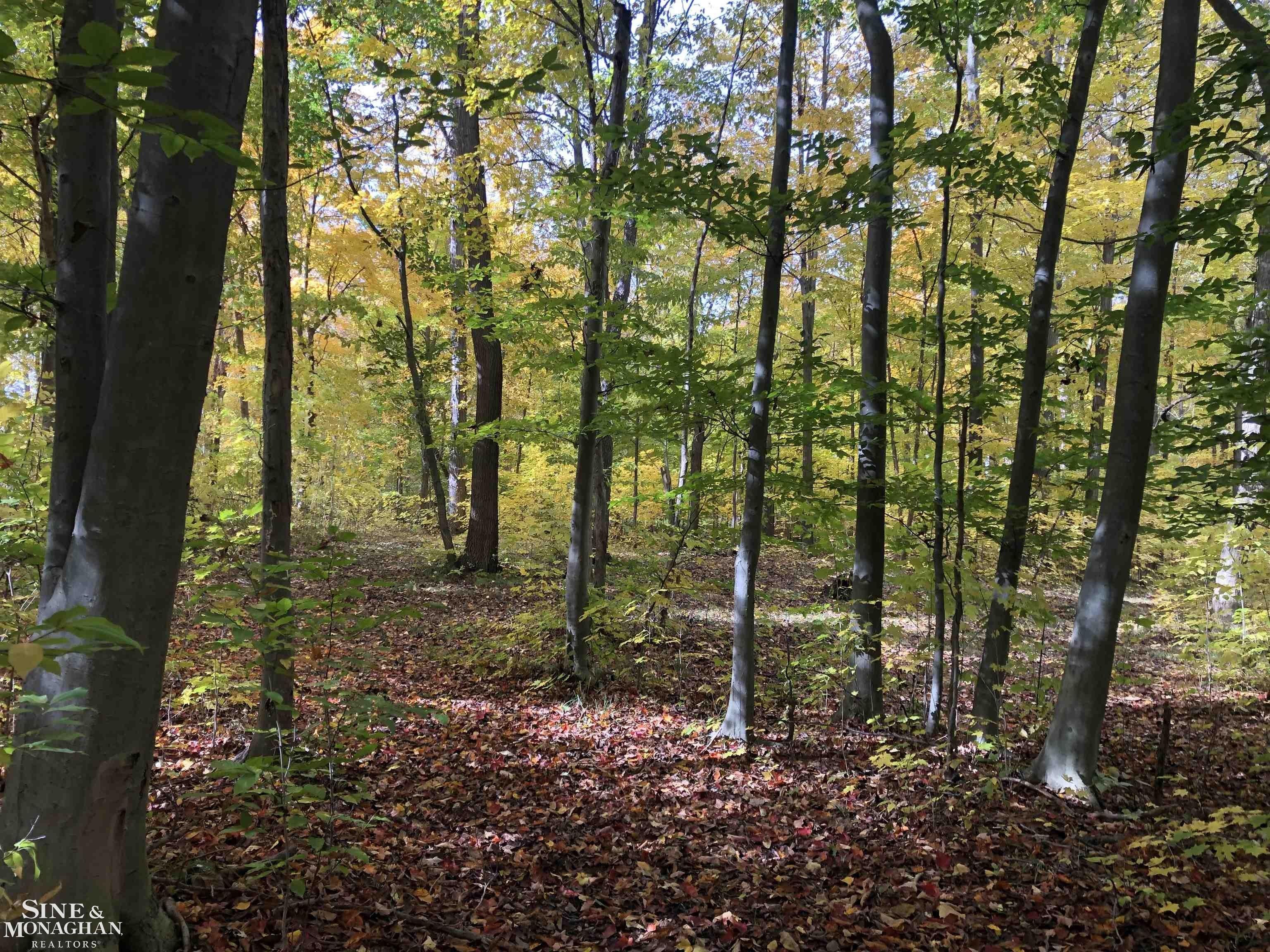 Saint Clair, Saint Clair County, MI Undeveloped Land for sale Property