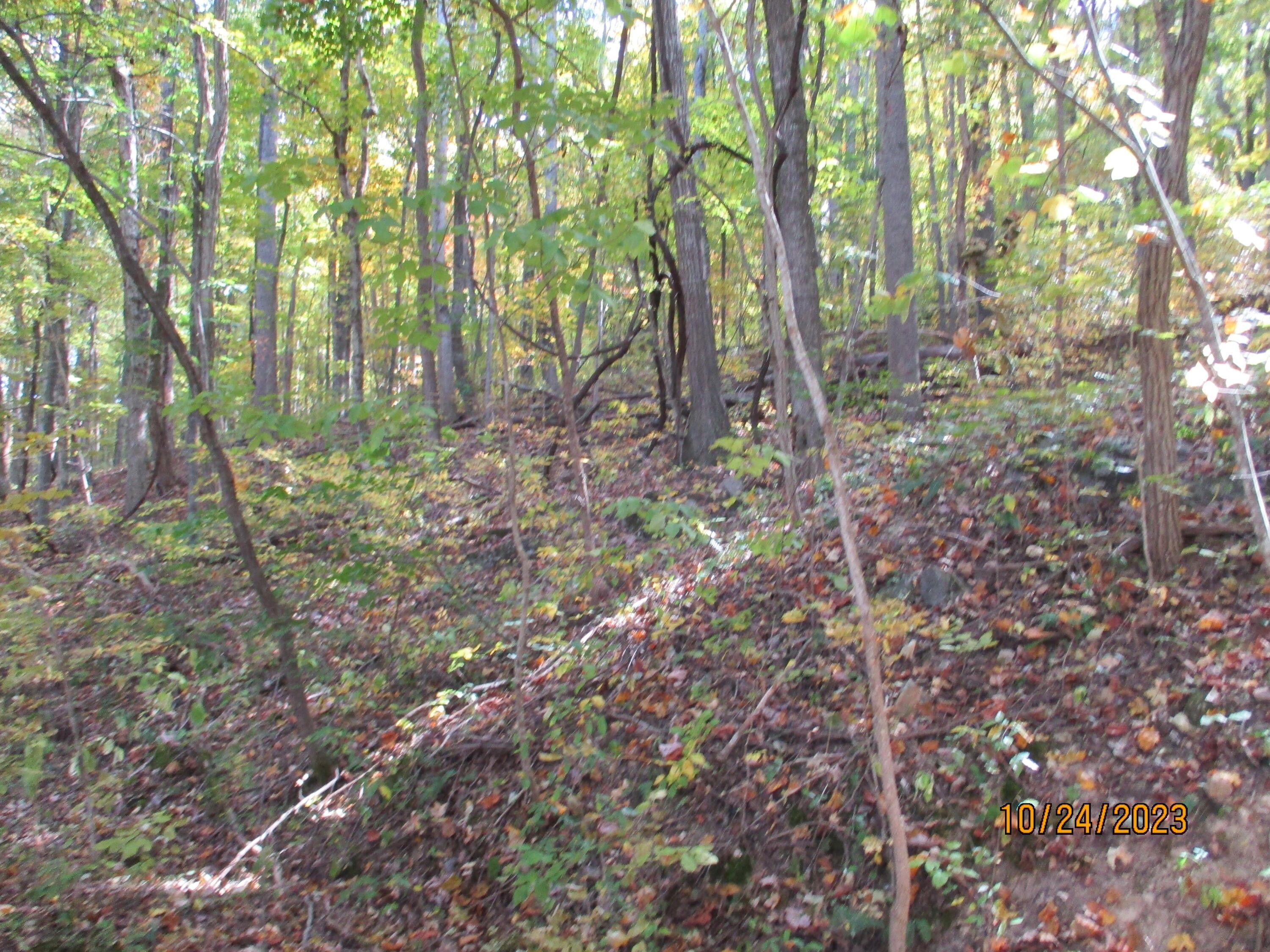 0 Oak Ridge Road, Pikeville, TN 37367 MLS 1381808 LandWatch