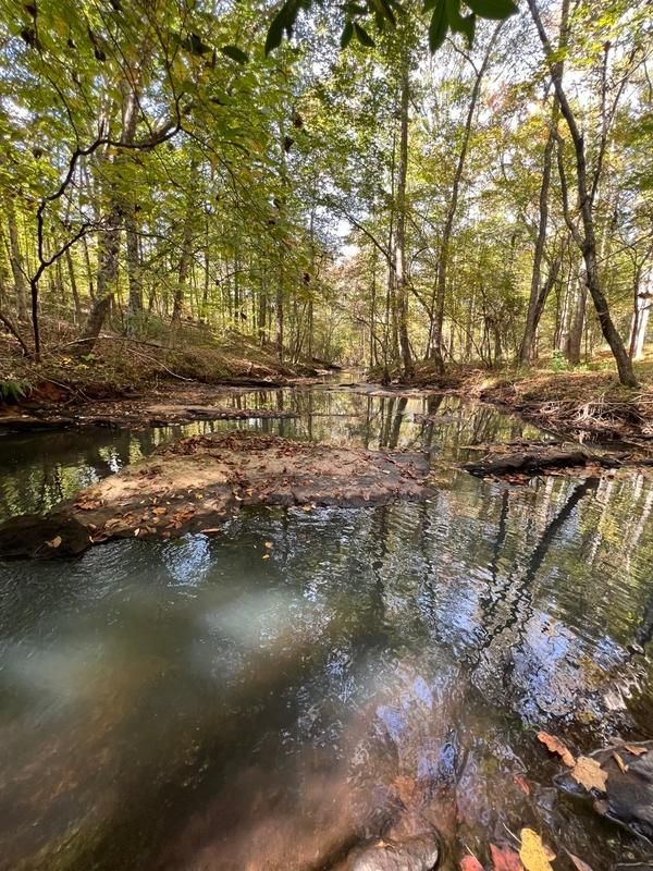 Auburn, Lee County, AL Farms and Ranches, Recreational Property