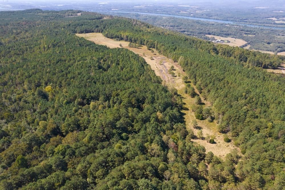 County Road 81, Flat Rock, AL 35966 LandWatch