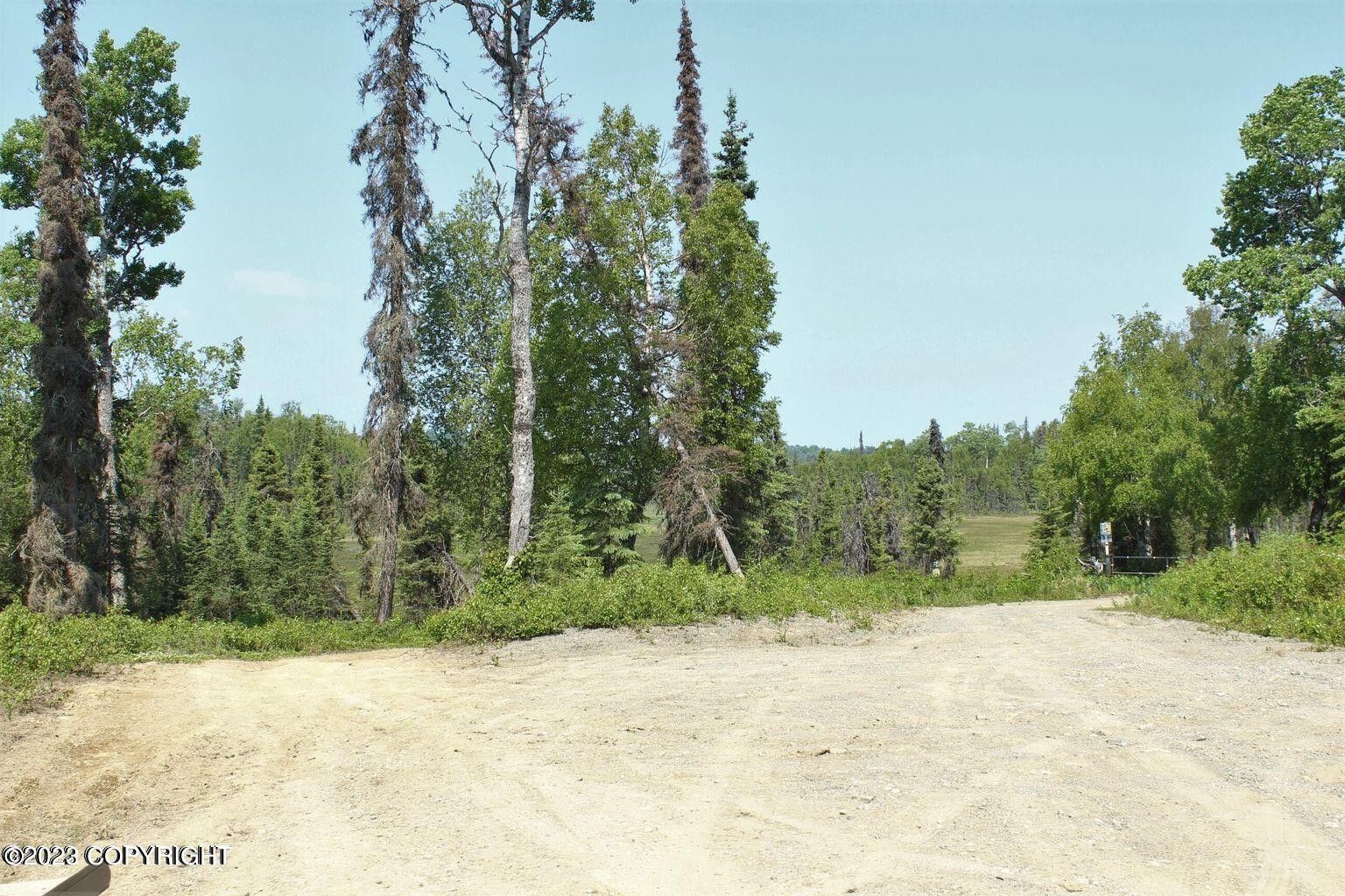 Kenai, Kenai Peninsula Borough, AK Undeveloped Land, Lakefront Property