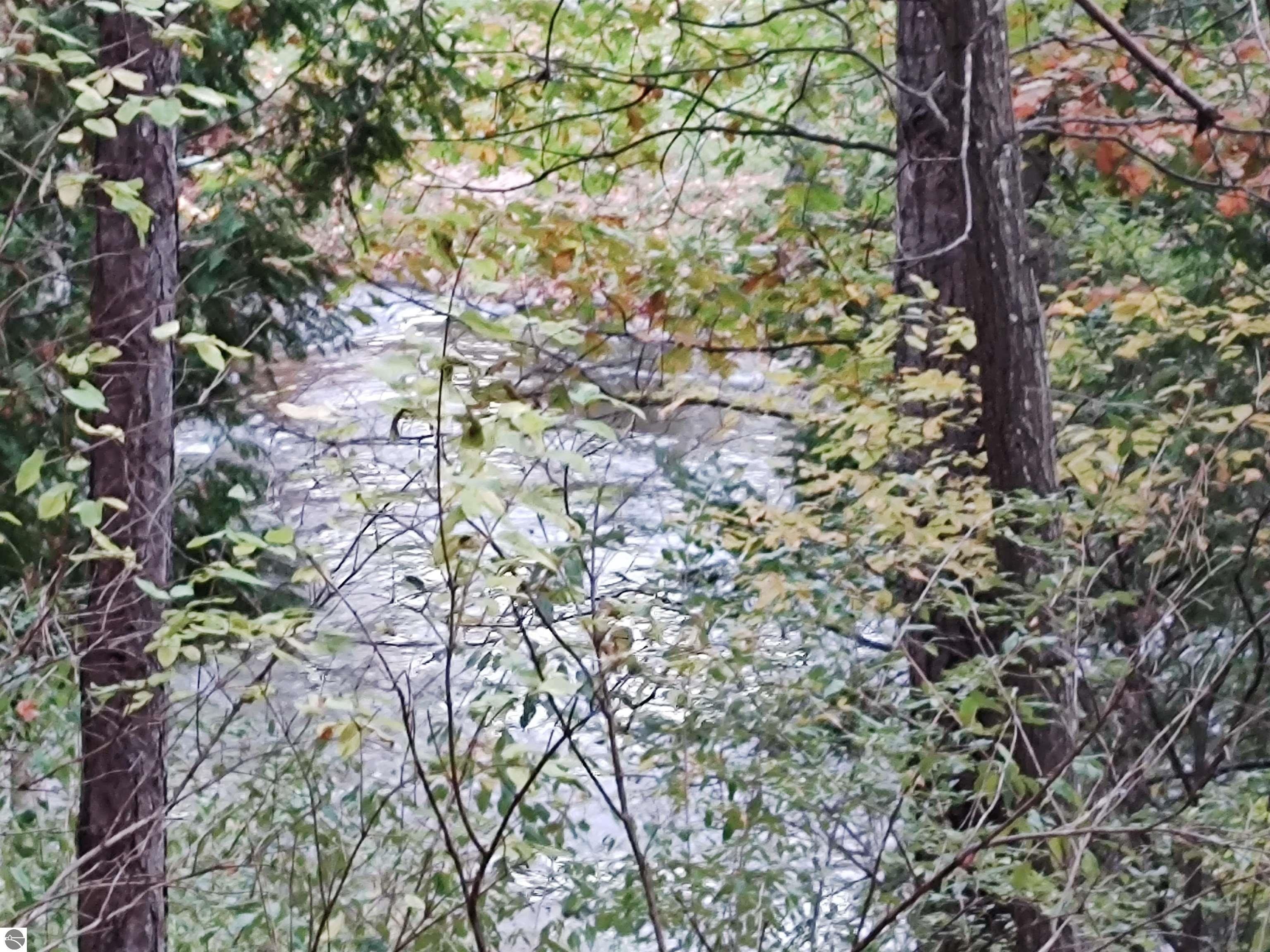 West Branch, Ogemaw County, MI Undeveloped Land, Lakefront Property