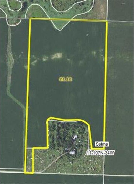 Comfrey, Cottonwood County, MN Undeveloped Land for sale Property ID