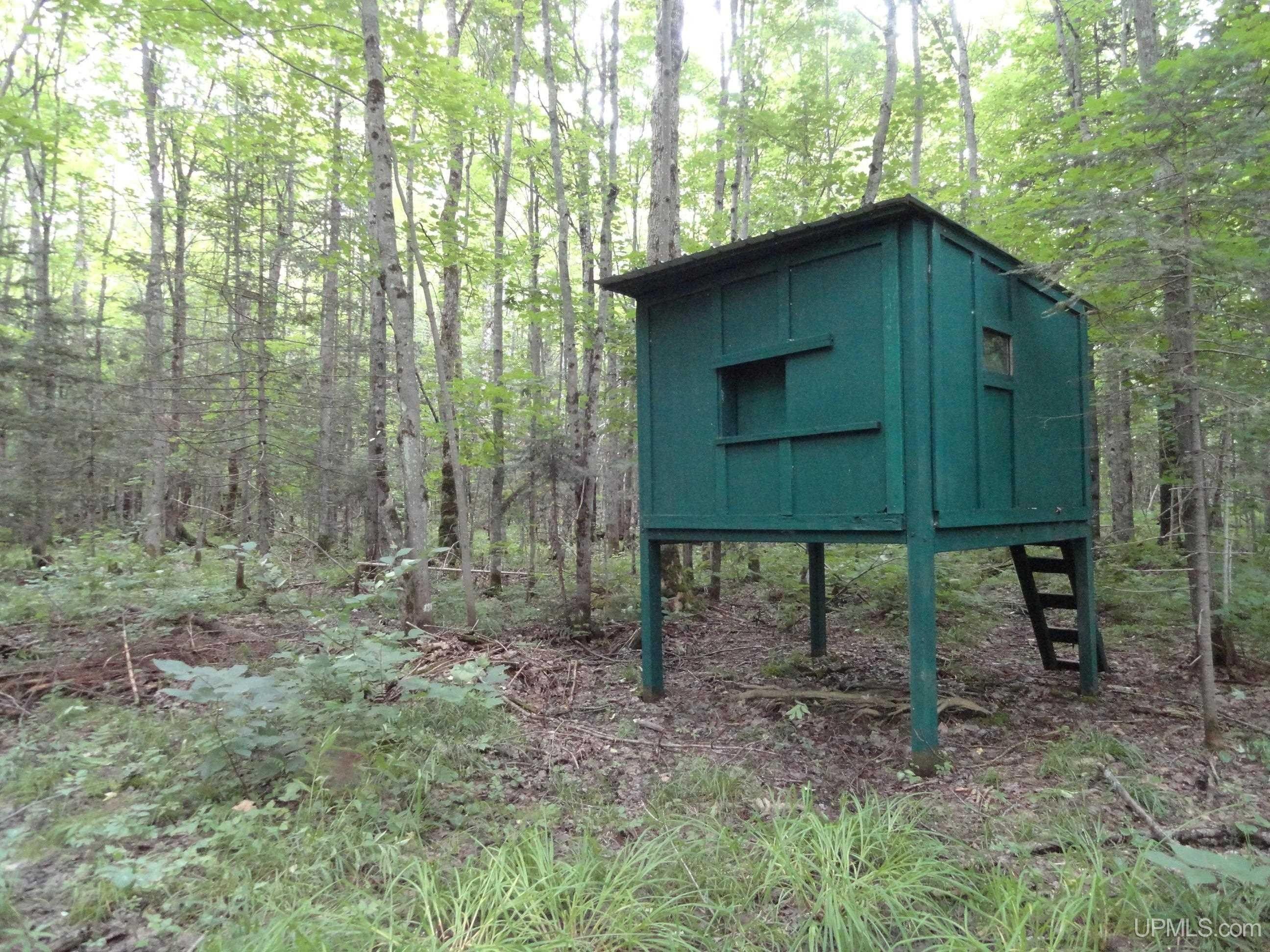 Bergland, Ontonagon County, MI Undeveloped Land for sale Property ID