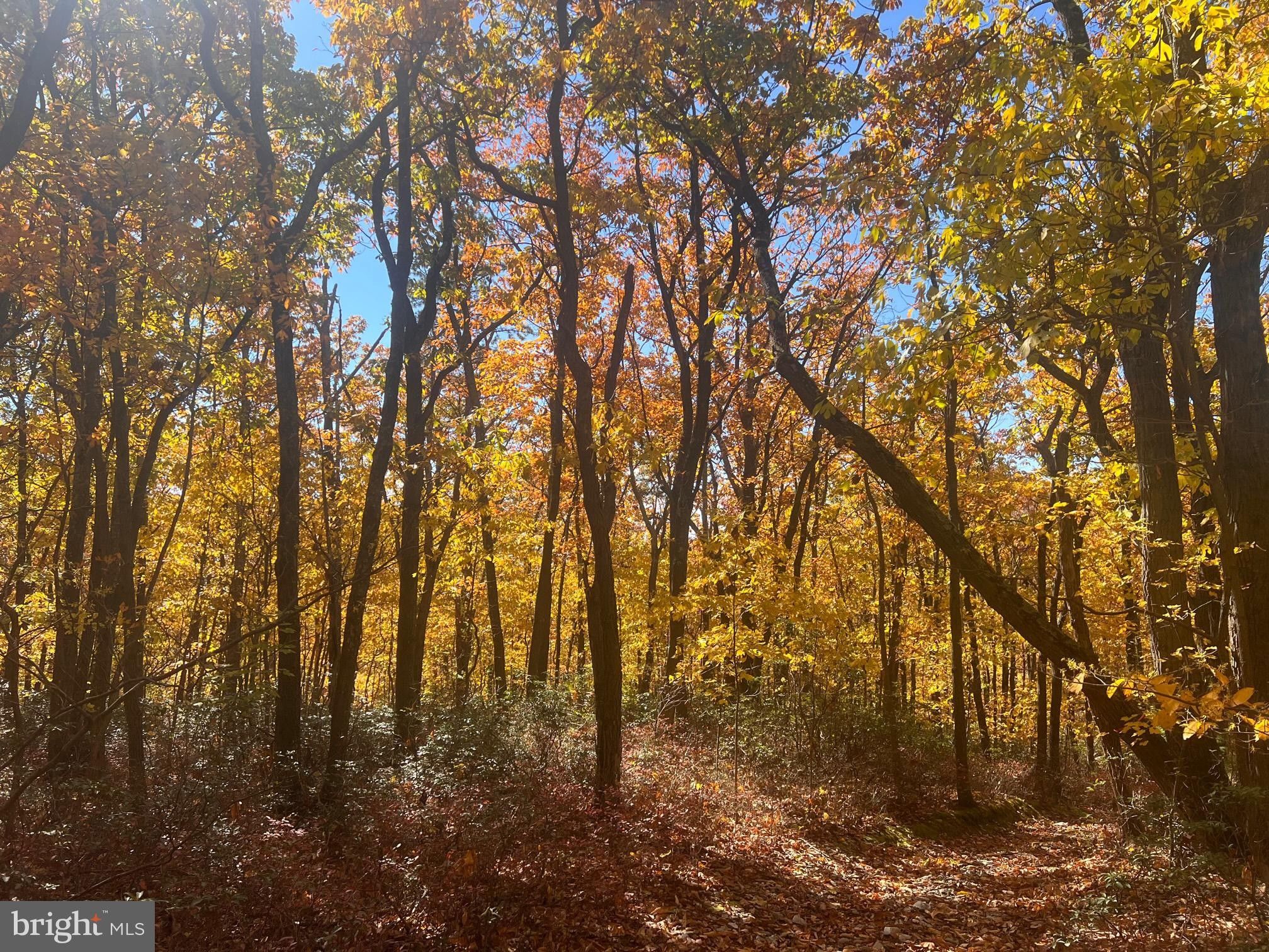 Dillsburg, York County, PA Undeveloped Land for sale Property ID