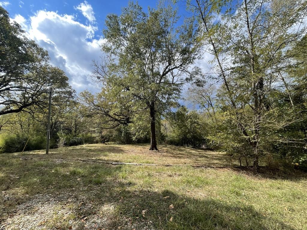Carthage, Leake County, MS Undeveloped Land for sale Property ID