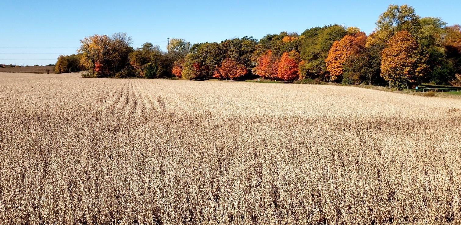 300 acres in Rio, IL, 61472 LandWatch