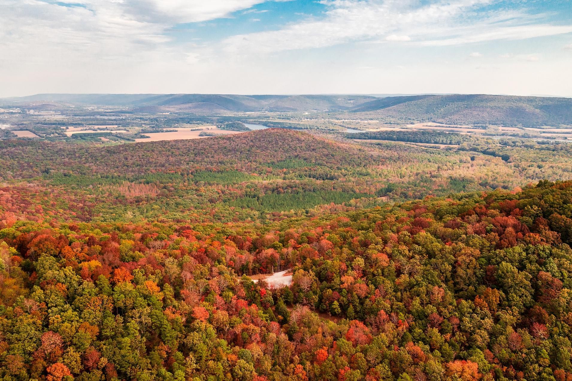 50 acres in Laceys Spring, AL, 35754 LandWatch