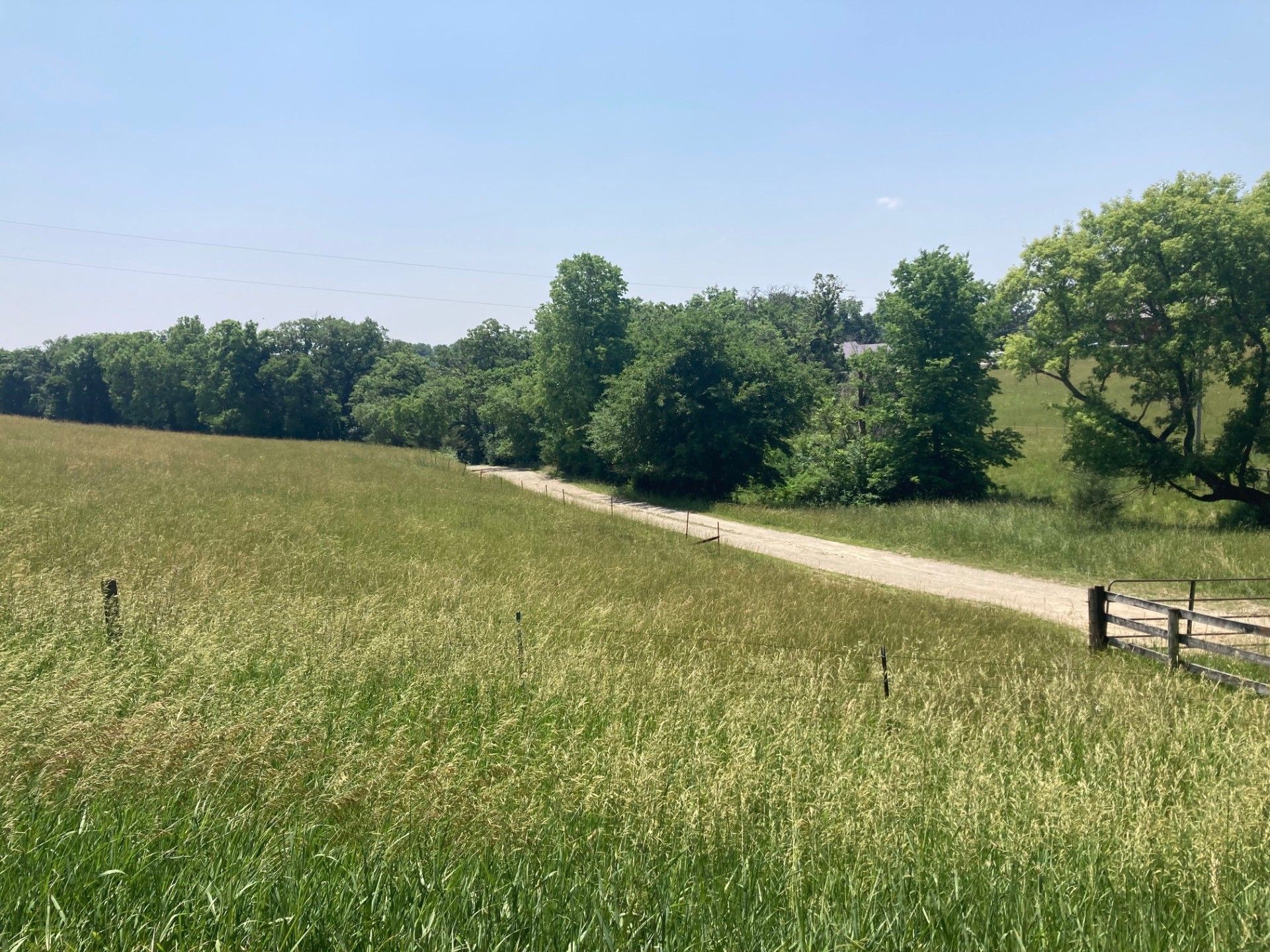 Spring Grove, Houston County, MN Undeveloped Land for sale Property ID