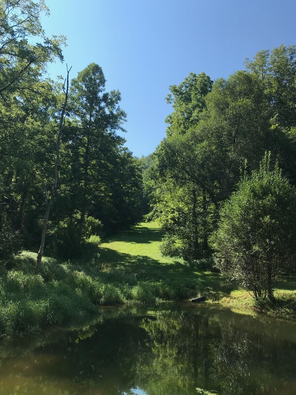 Lot 1 Twin Falls RD NE, Copper Hill, VA 24079 MLS 902722 LandWatch