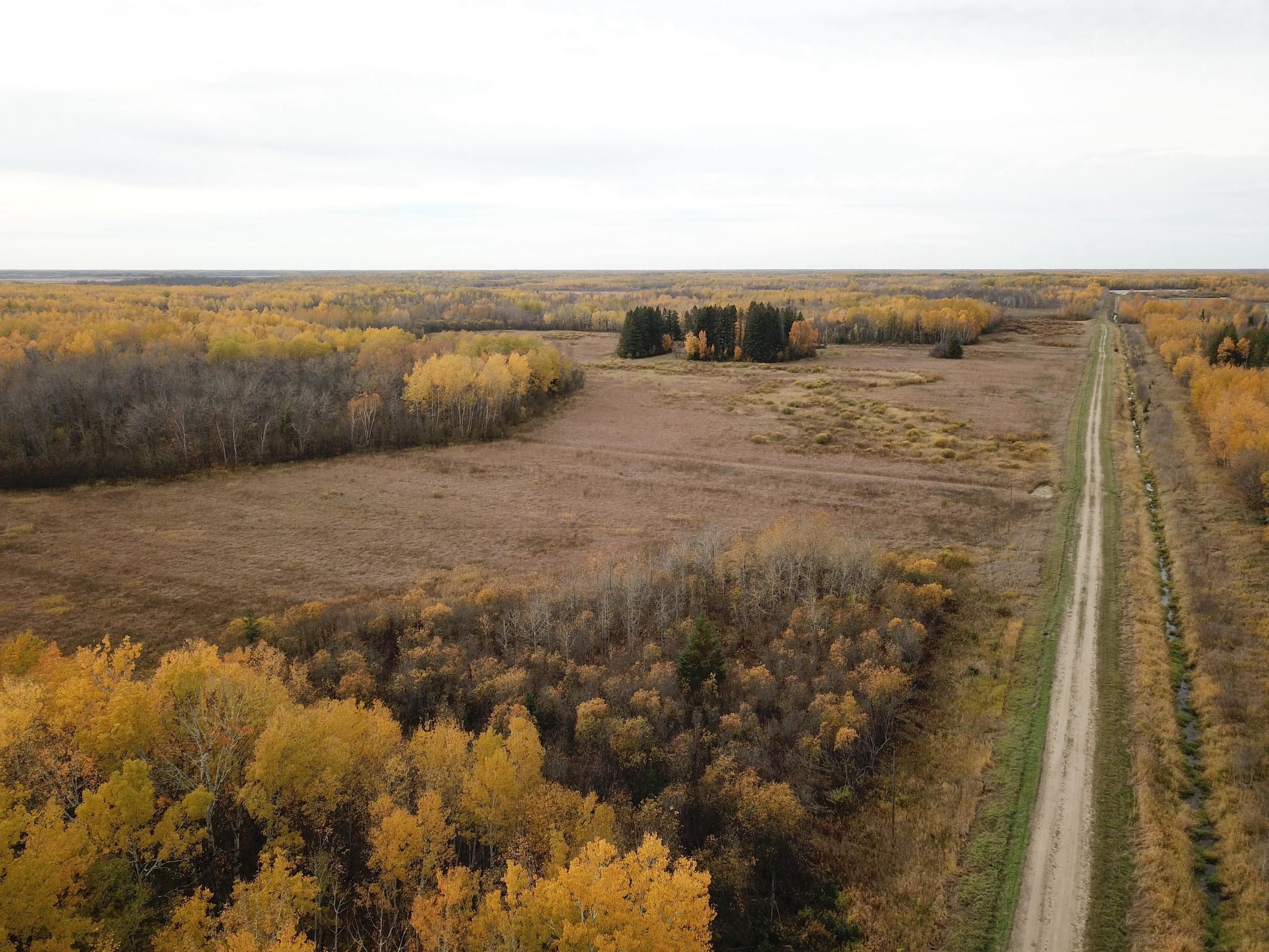 Grygla, Beltrami County, MN Recreational Property, Timberland Property