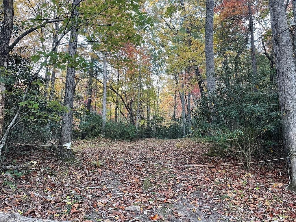 Claudville, Patrick County, VA for sale Property ID 418093786 LandWatch
