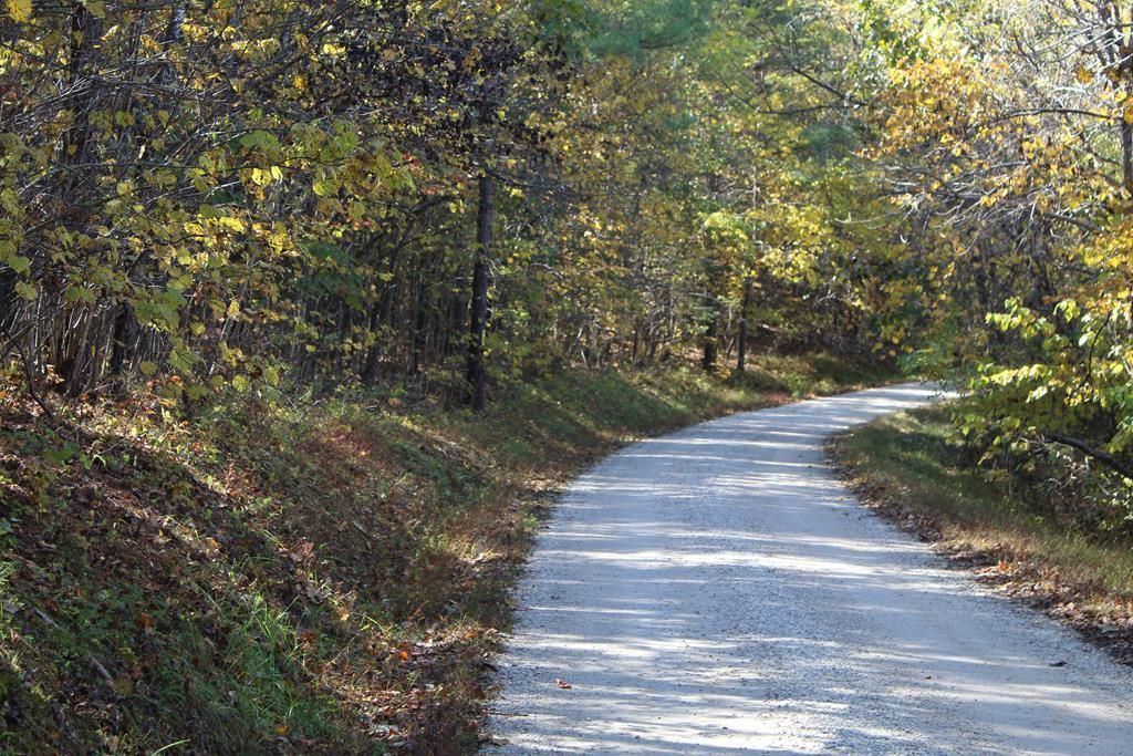 1480 Greenfield Drive, Gladstone, VA 24553 MLS 4500767930 LandWatch