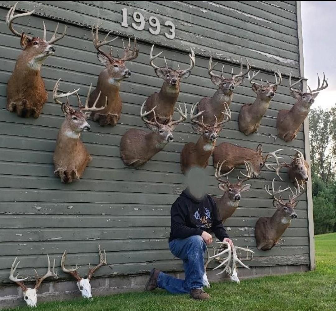 Mill Road, Waumandee, WI 54622 MLS 6450749 LandWatch