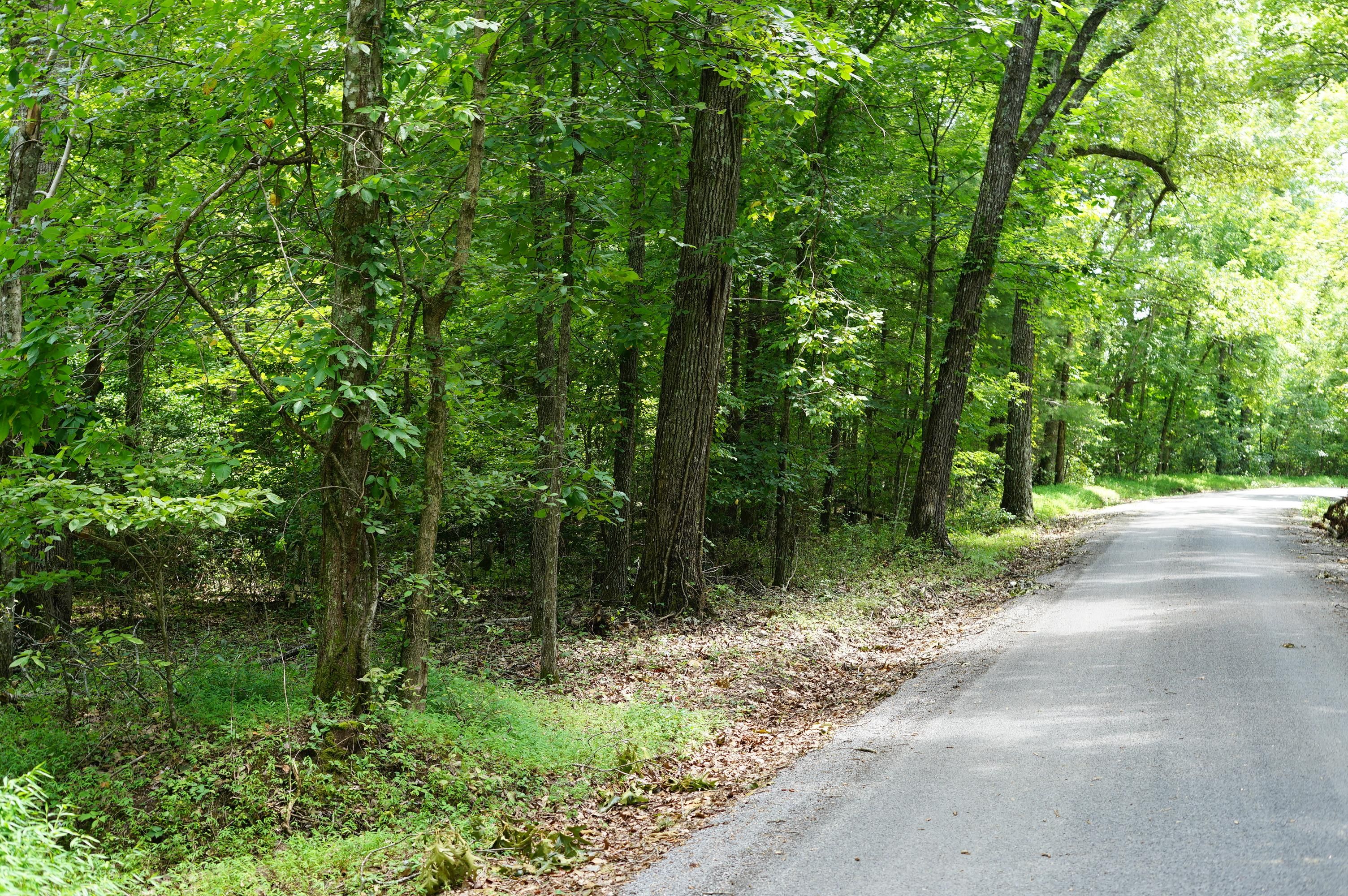 Evensville, Rhea County, TN Recreational Property, Undeveloped Land for